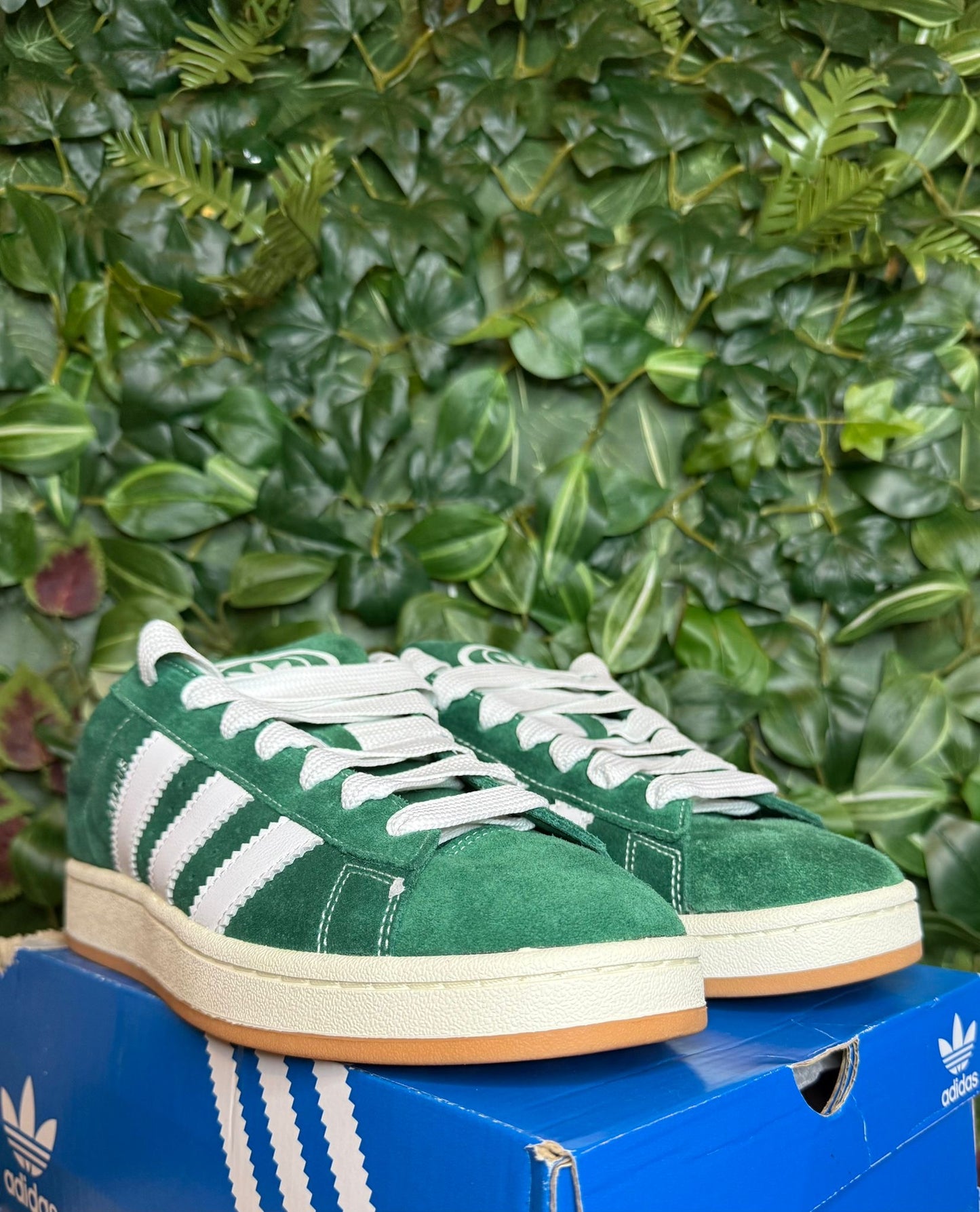 Campus 00S Dark Green