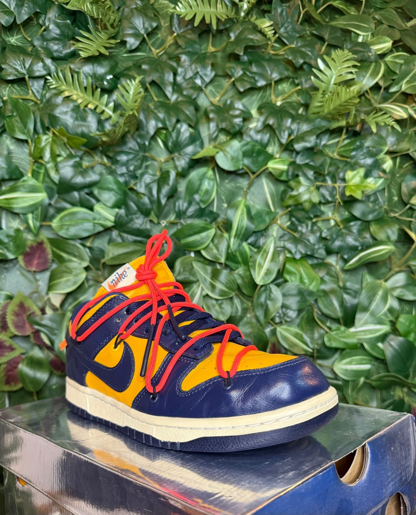 Dunk Low X Off-White Michigan