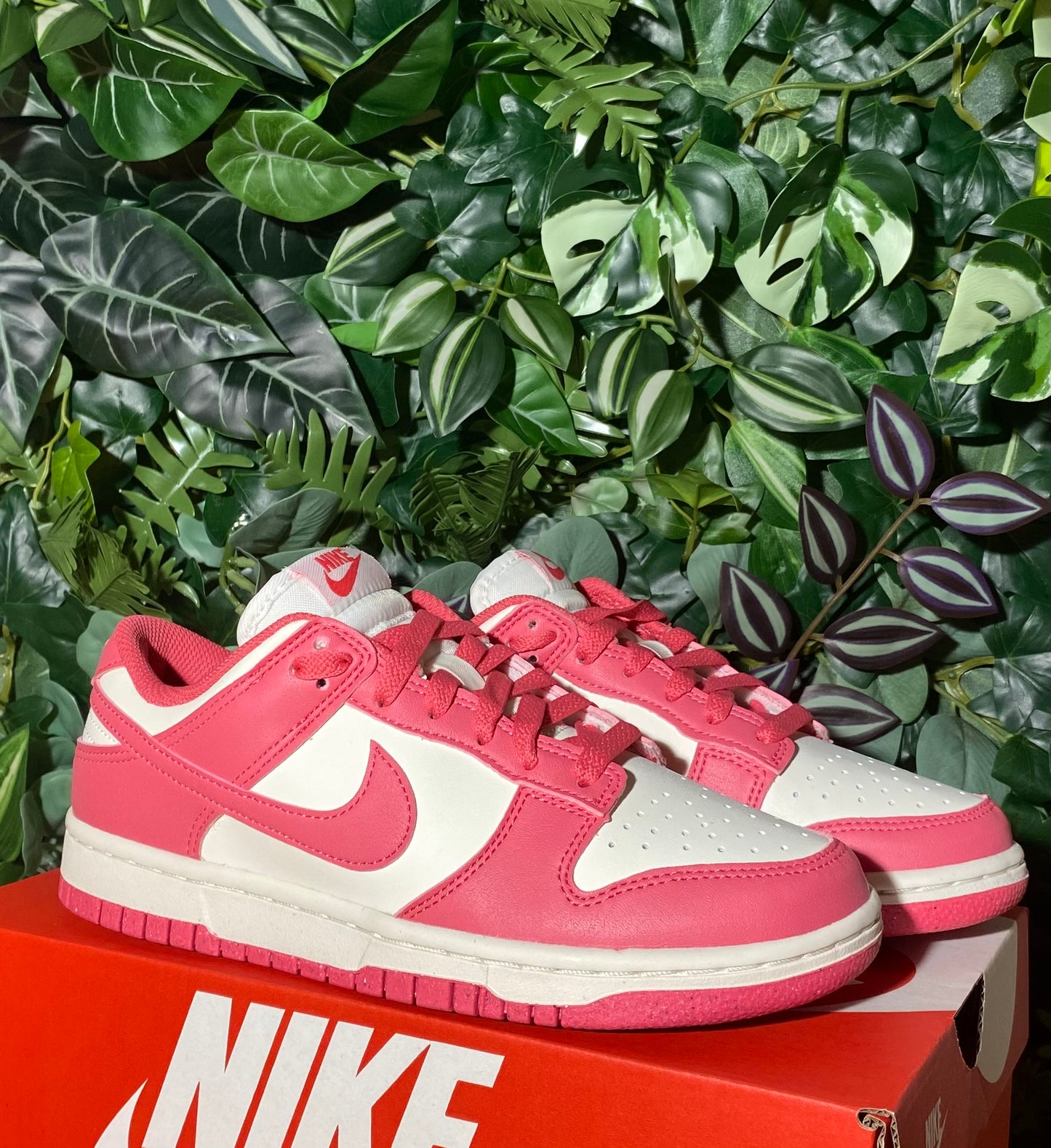 Dunk Low Next Nature Aster Rose