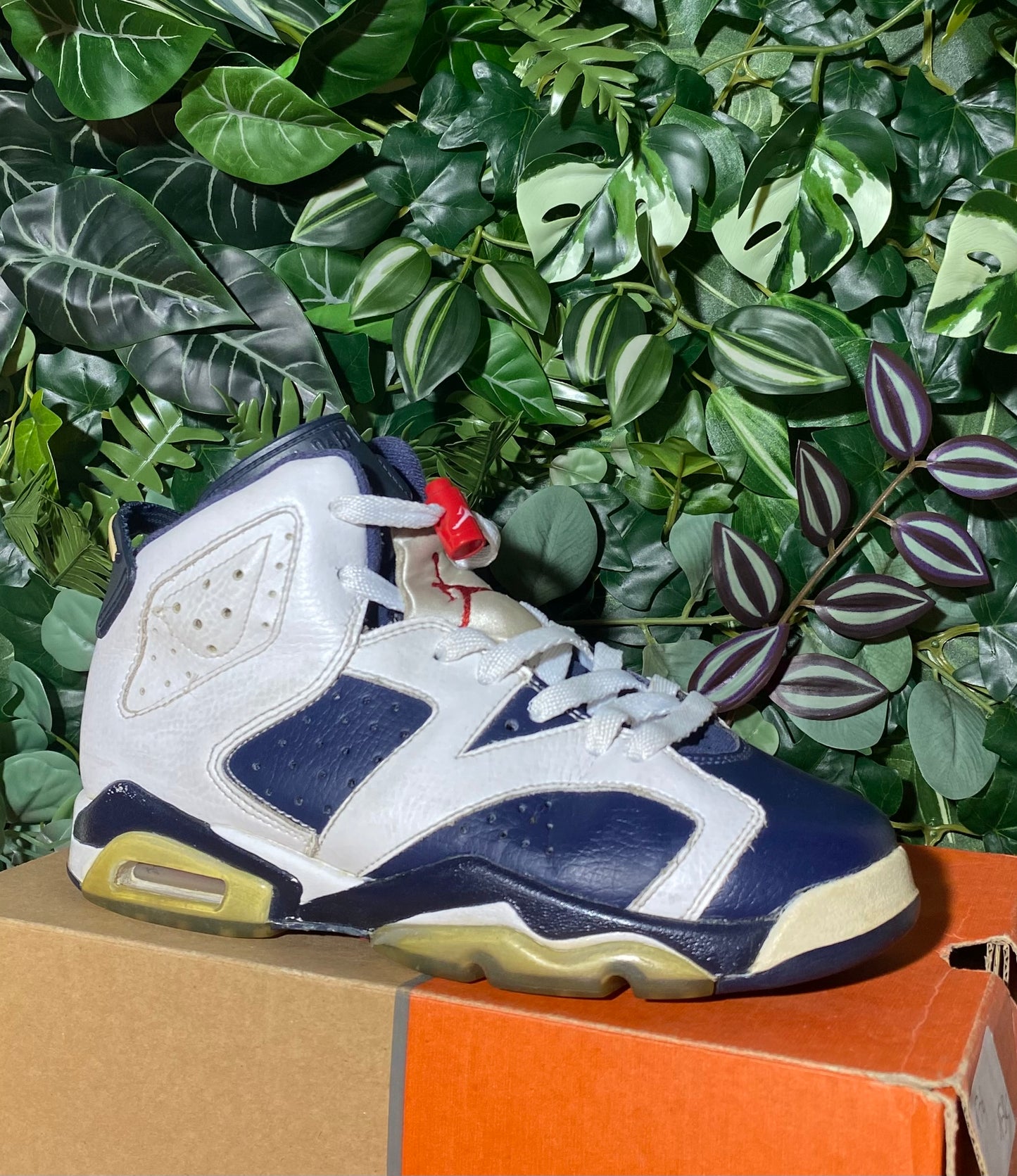 Jordan 6 Olympique (2013)