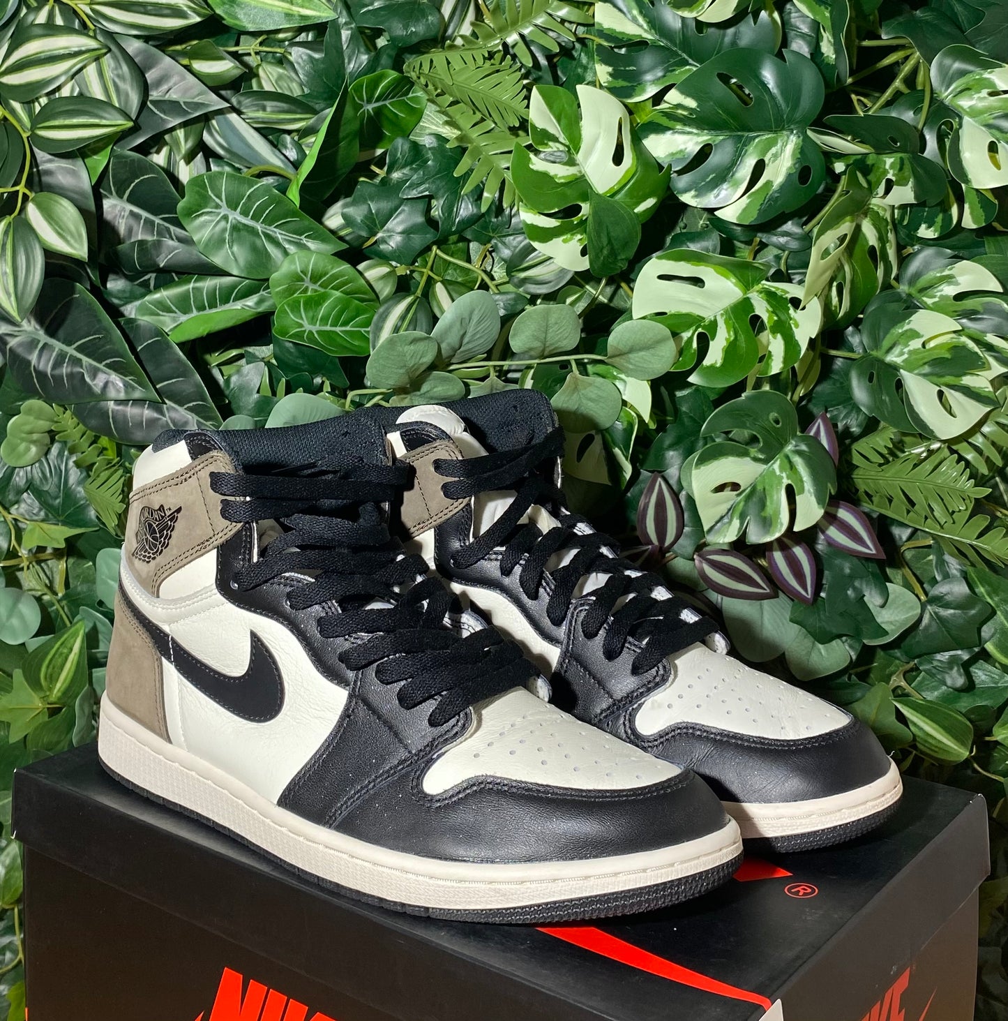 Jordan 1 High Dark Mocha