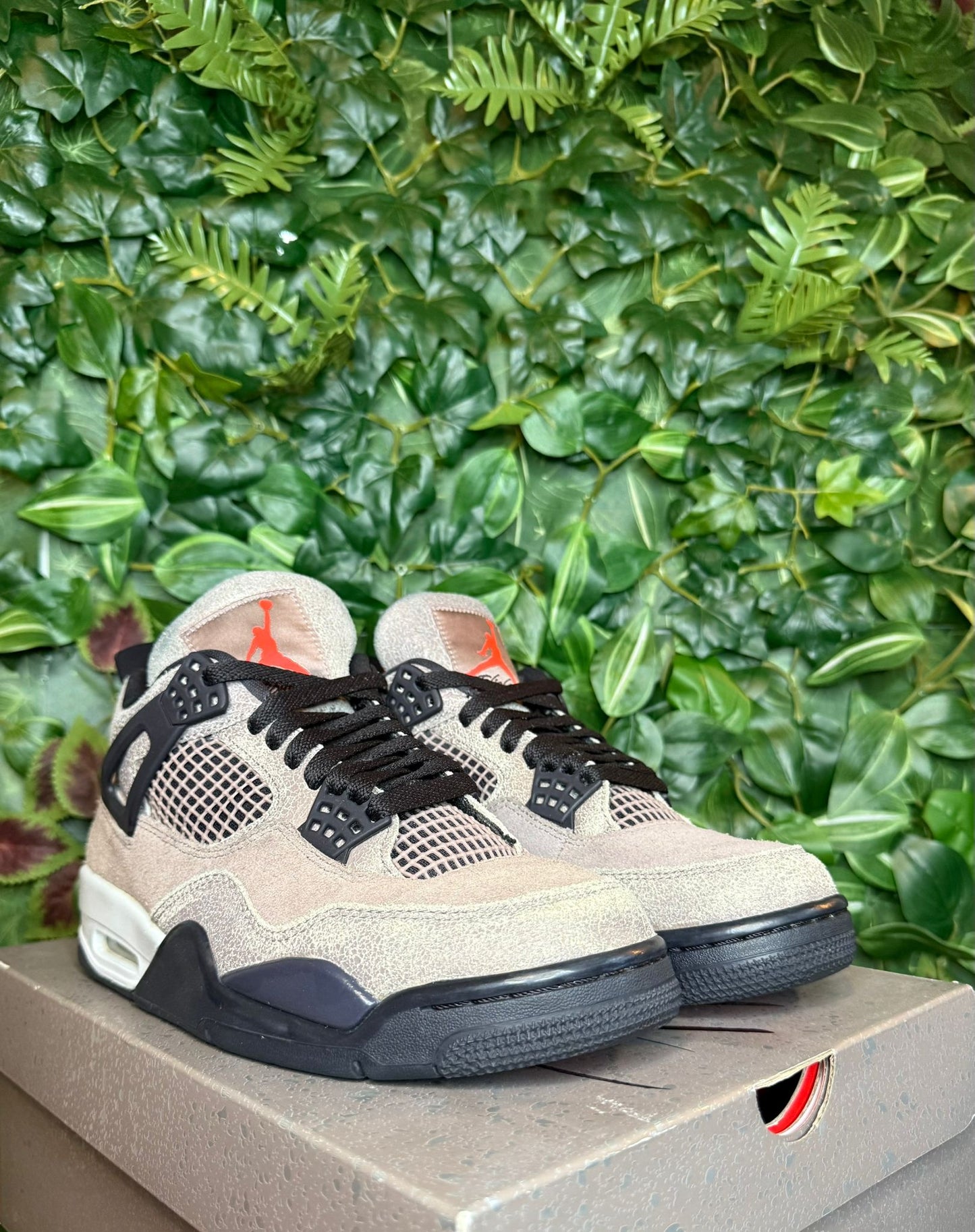Jordan 4 Taupe Haze