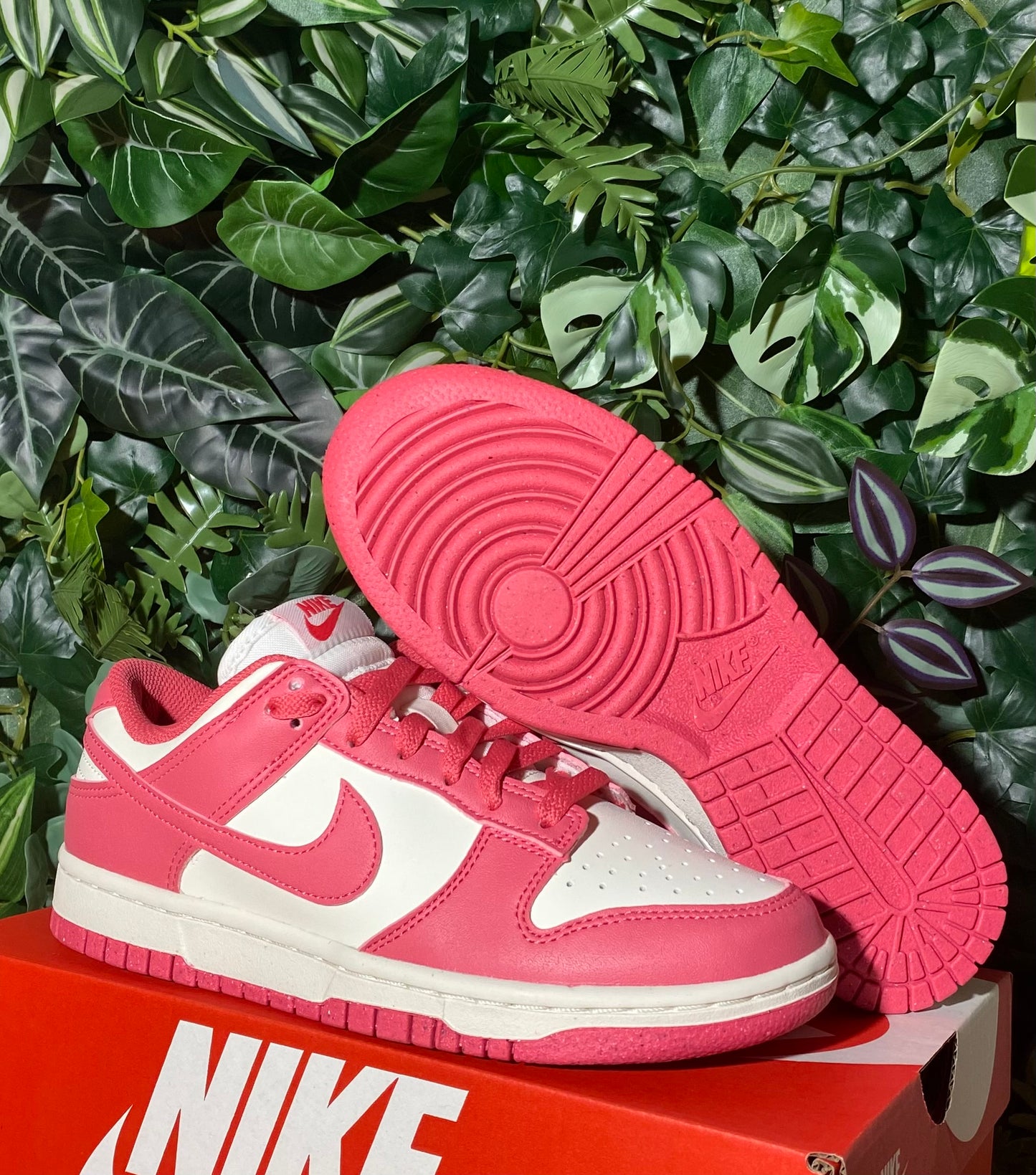 Dunk Low Next Nature Aster Rose