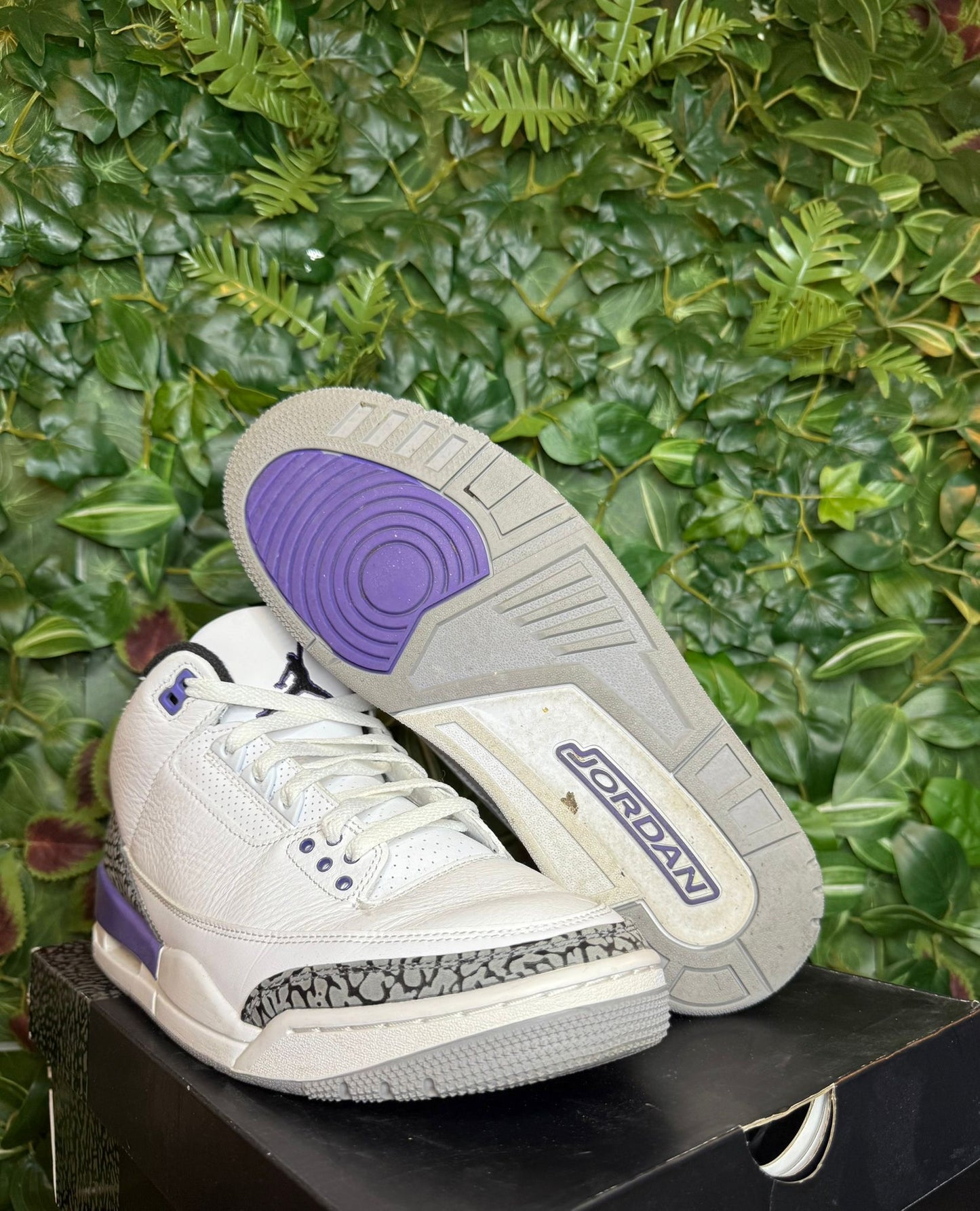 Jordan 3 purple