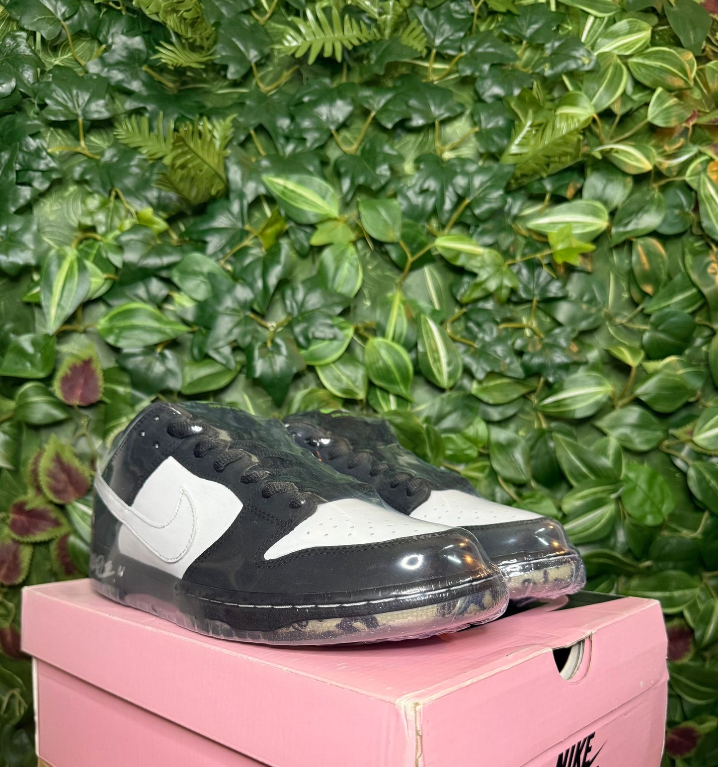 Dunk Low SB X Jeff Staple Panda Pigeon