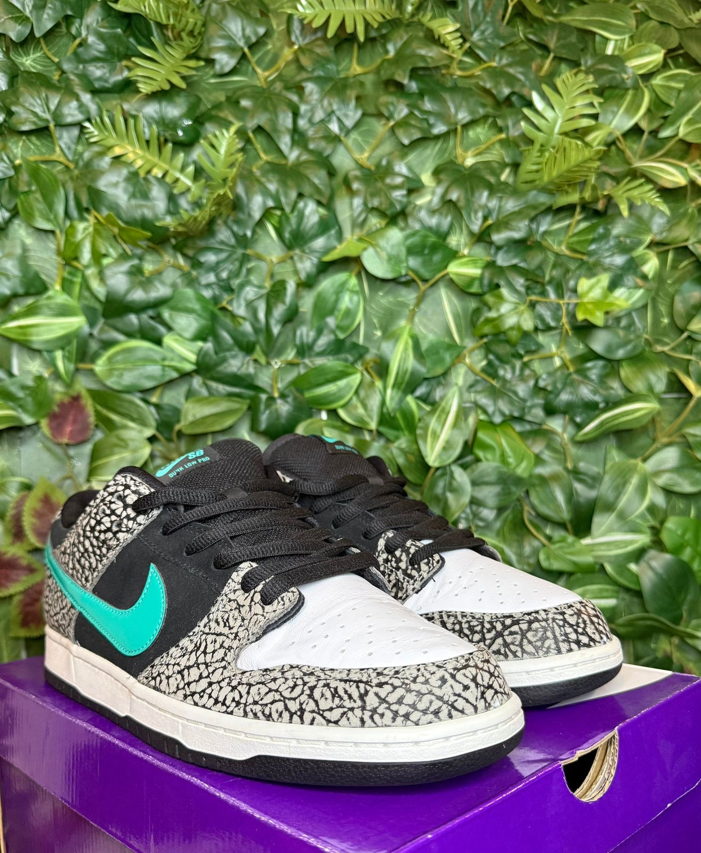 Dunk Low SB Atmos Elephant
