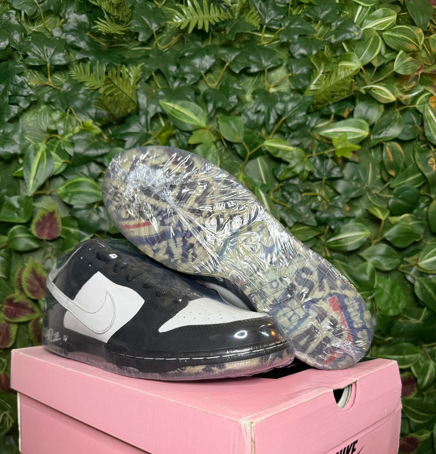 Dunk Low SB X Jeff Staple Panda Pigeon