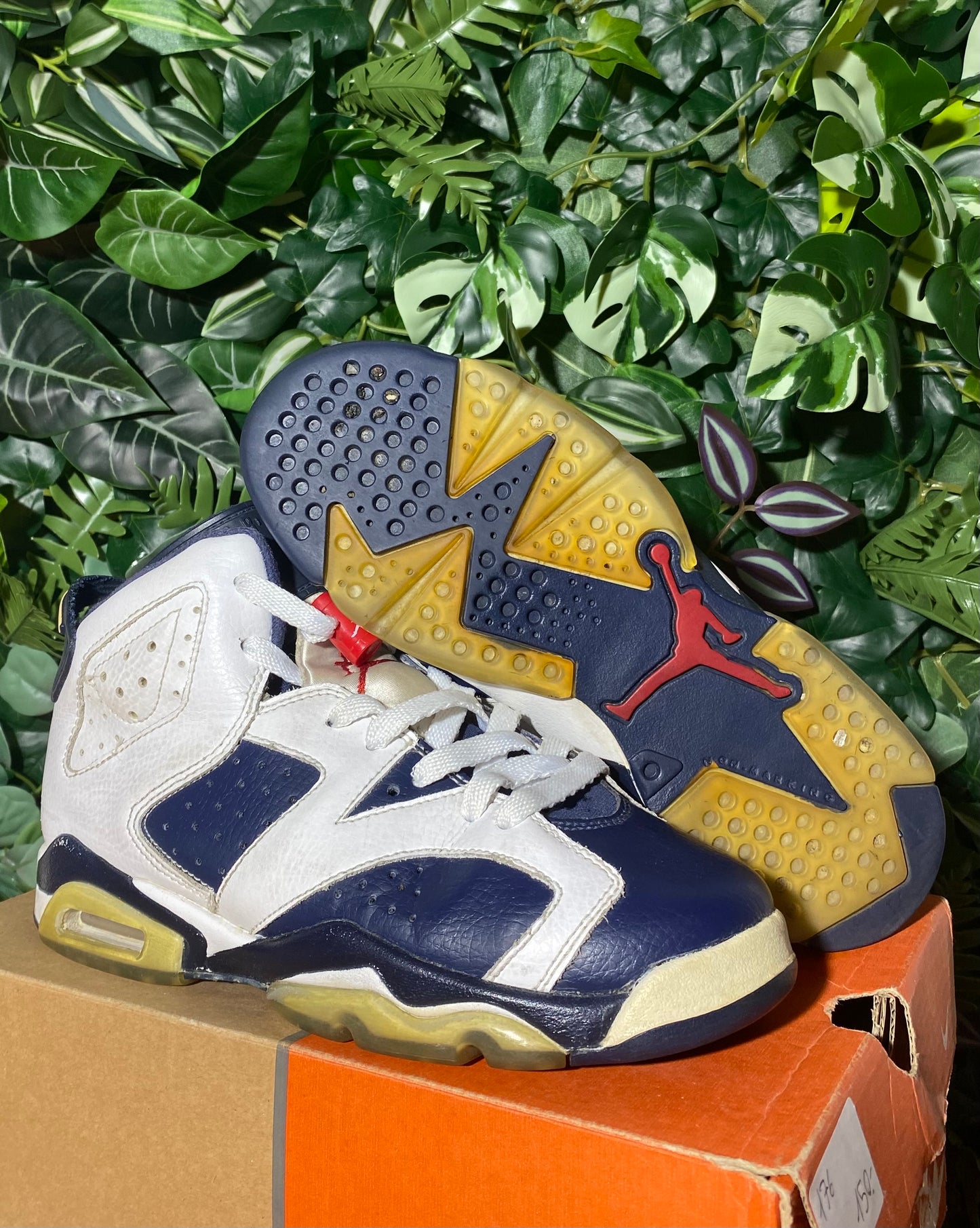 Jordan 6 Olympique (2013)