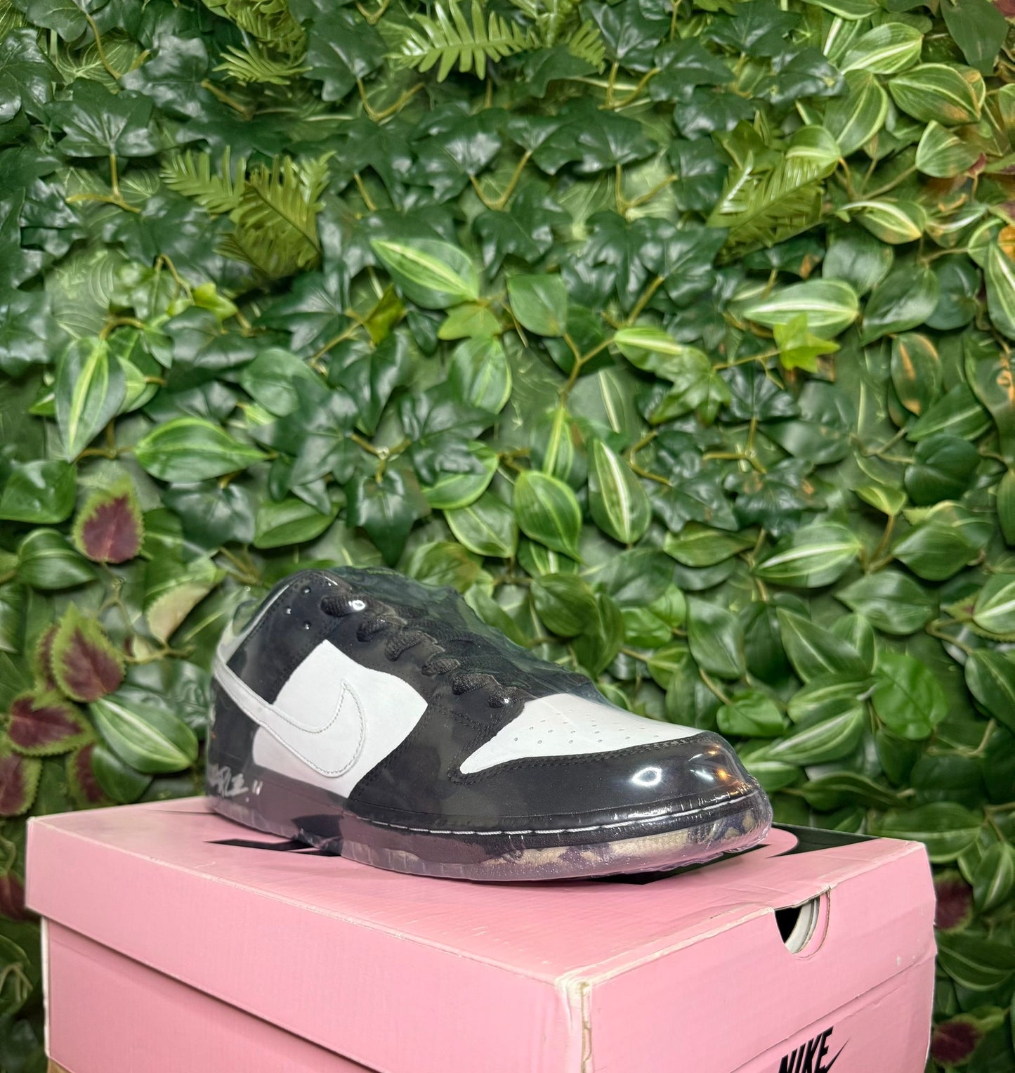 Dunk Low SB X Jeff Staple Panda Pigeon