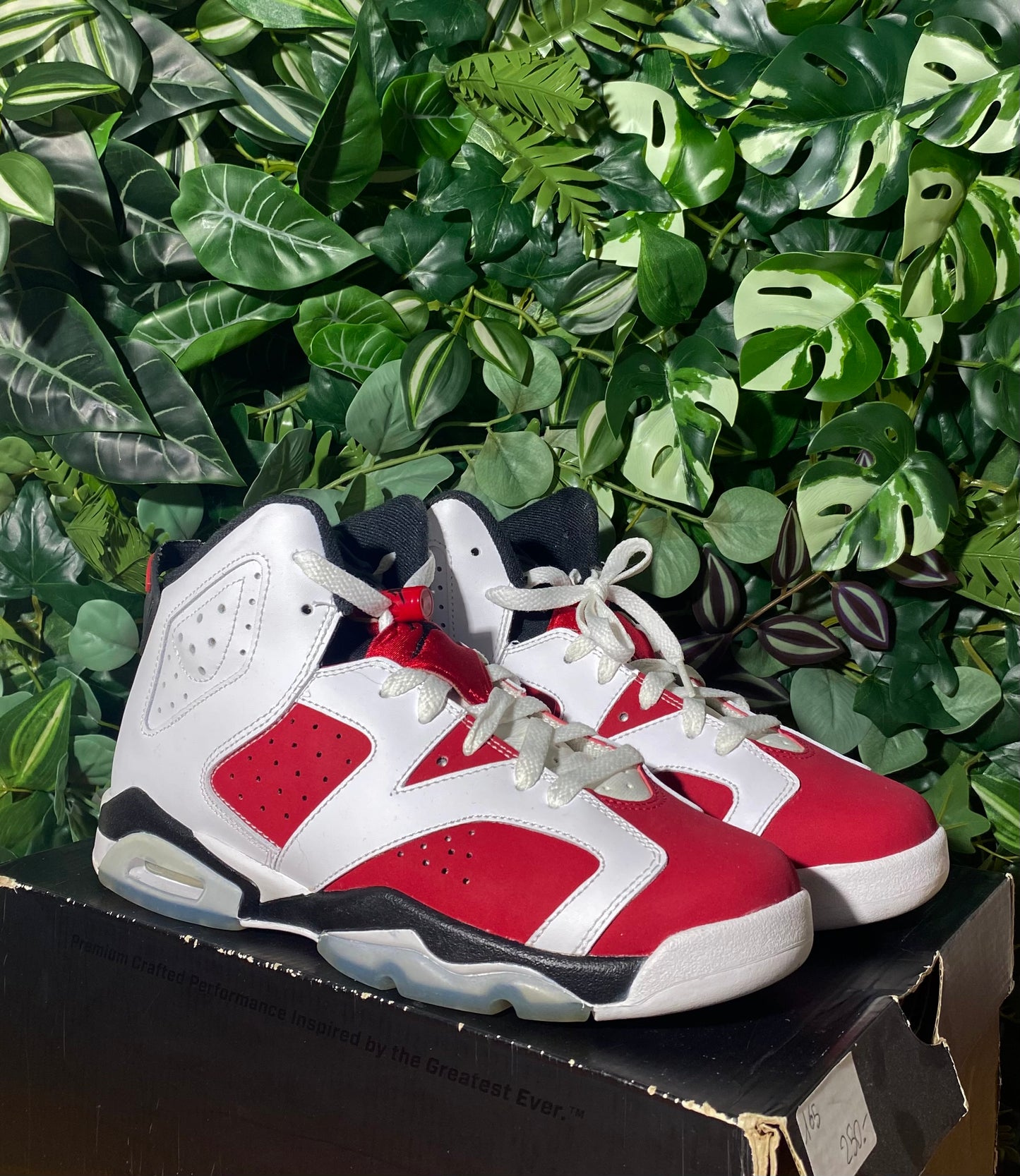 Jordan 6 Carmine Black