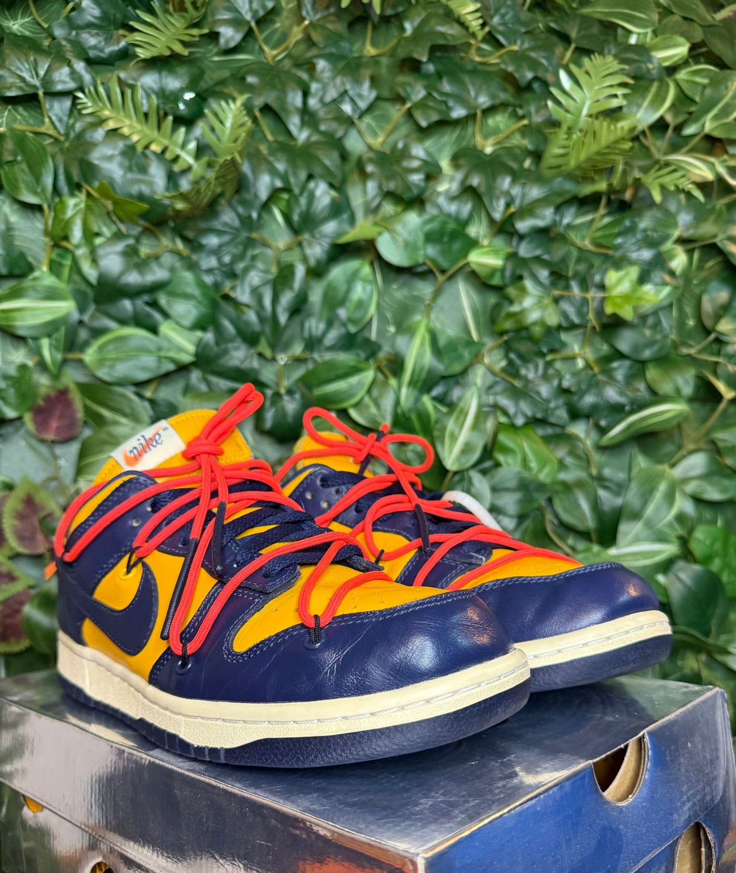 Dunk Low X Off-White Michigan