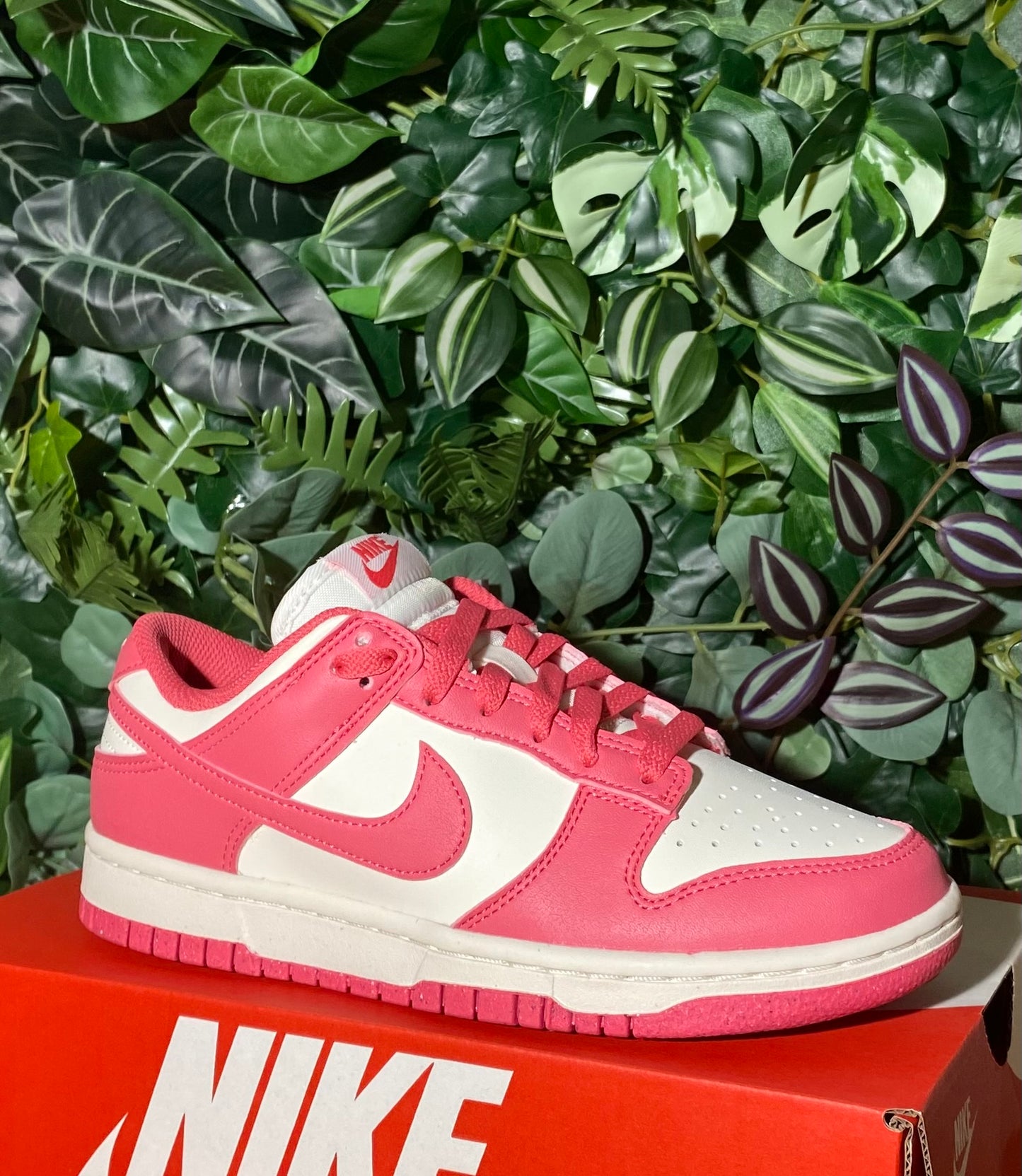 Dunk Low Next Nature Aster Rose