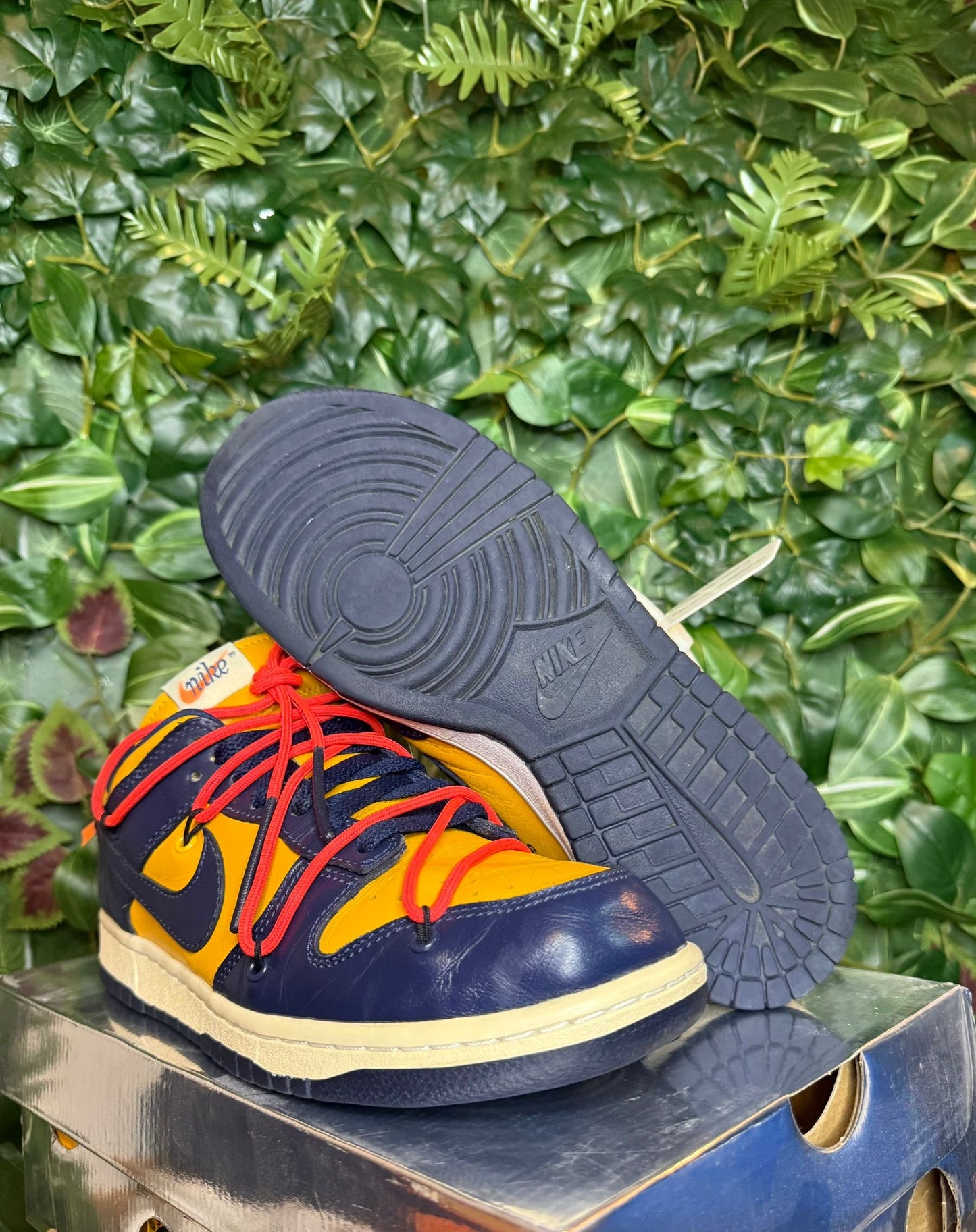 Dunk Low X Off-White Michigan