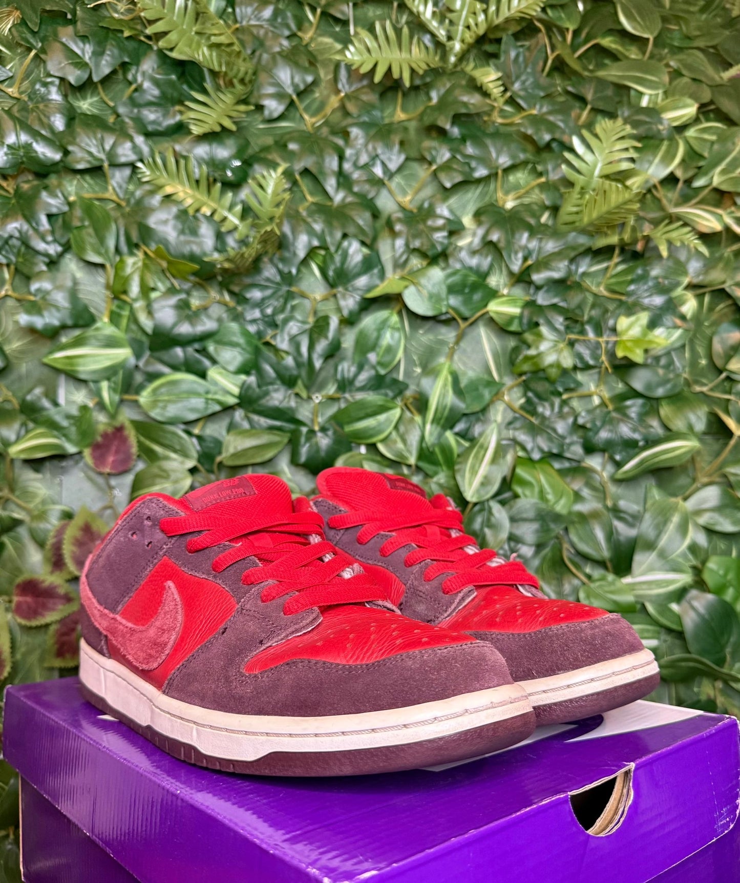Dunk Low SB Cherry
