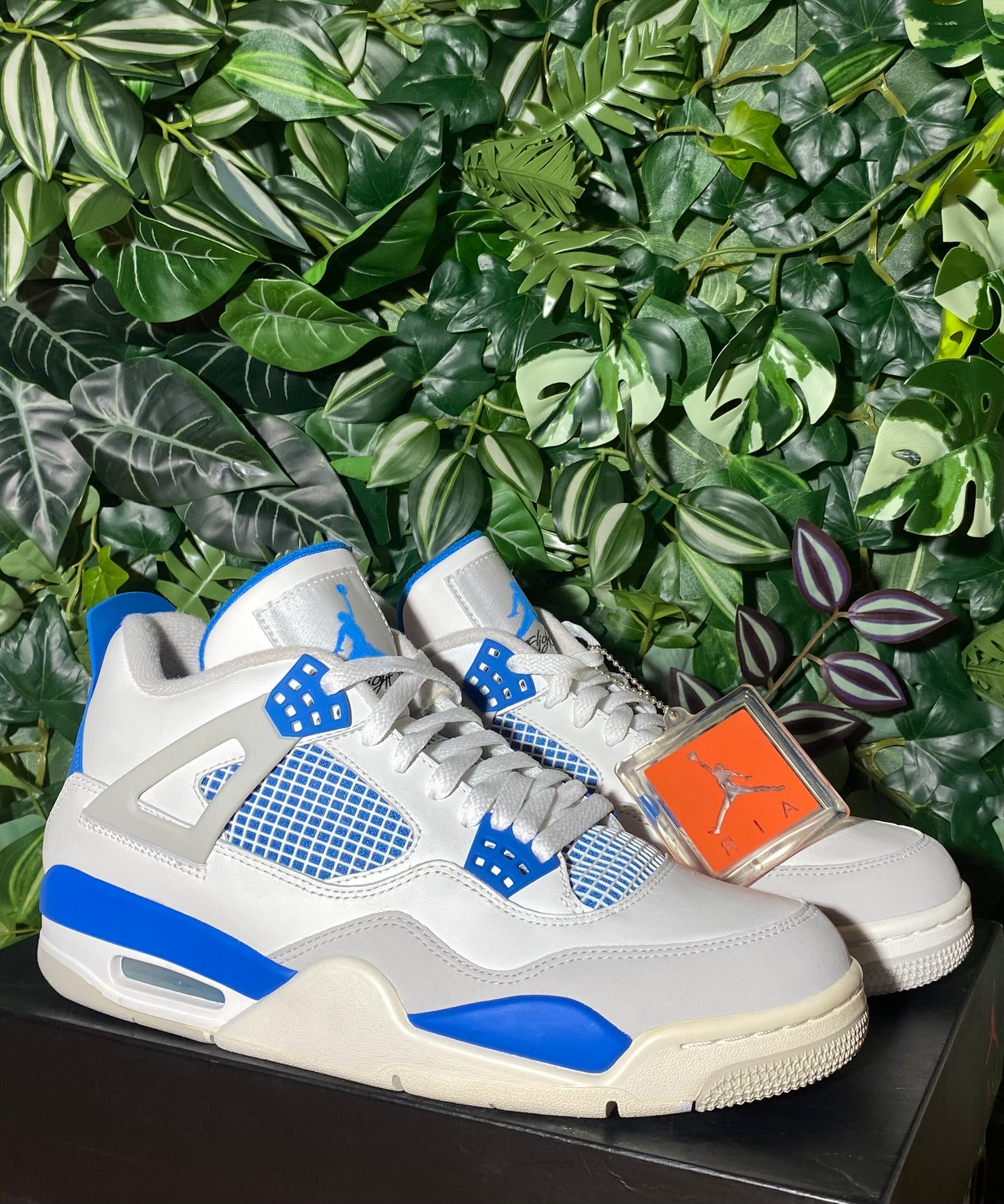 Jordan 4 Millitary Blue (2012)