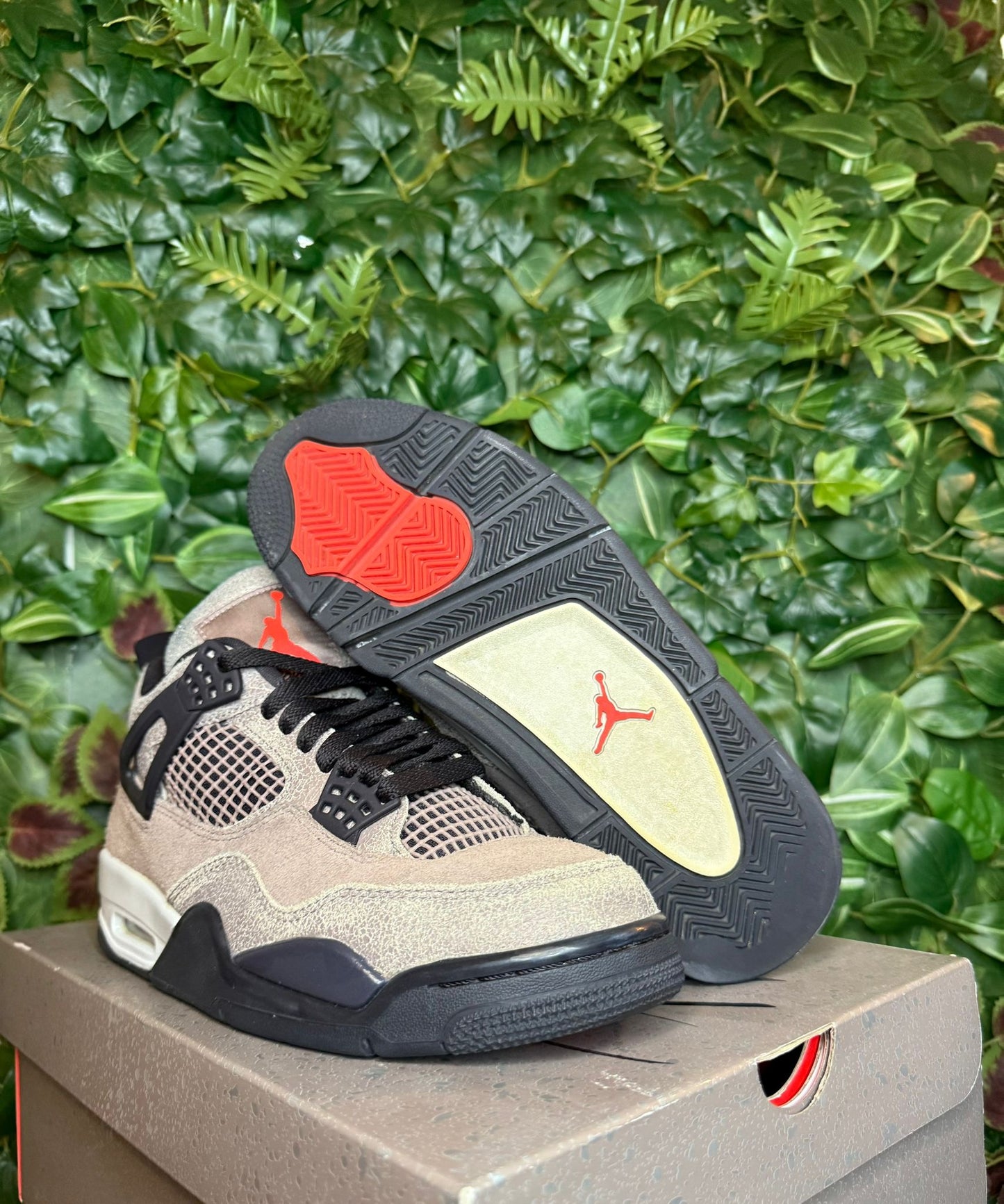 Jordan 4 Taupe Haze