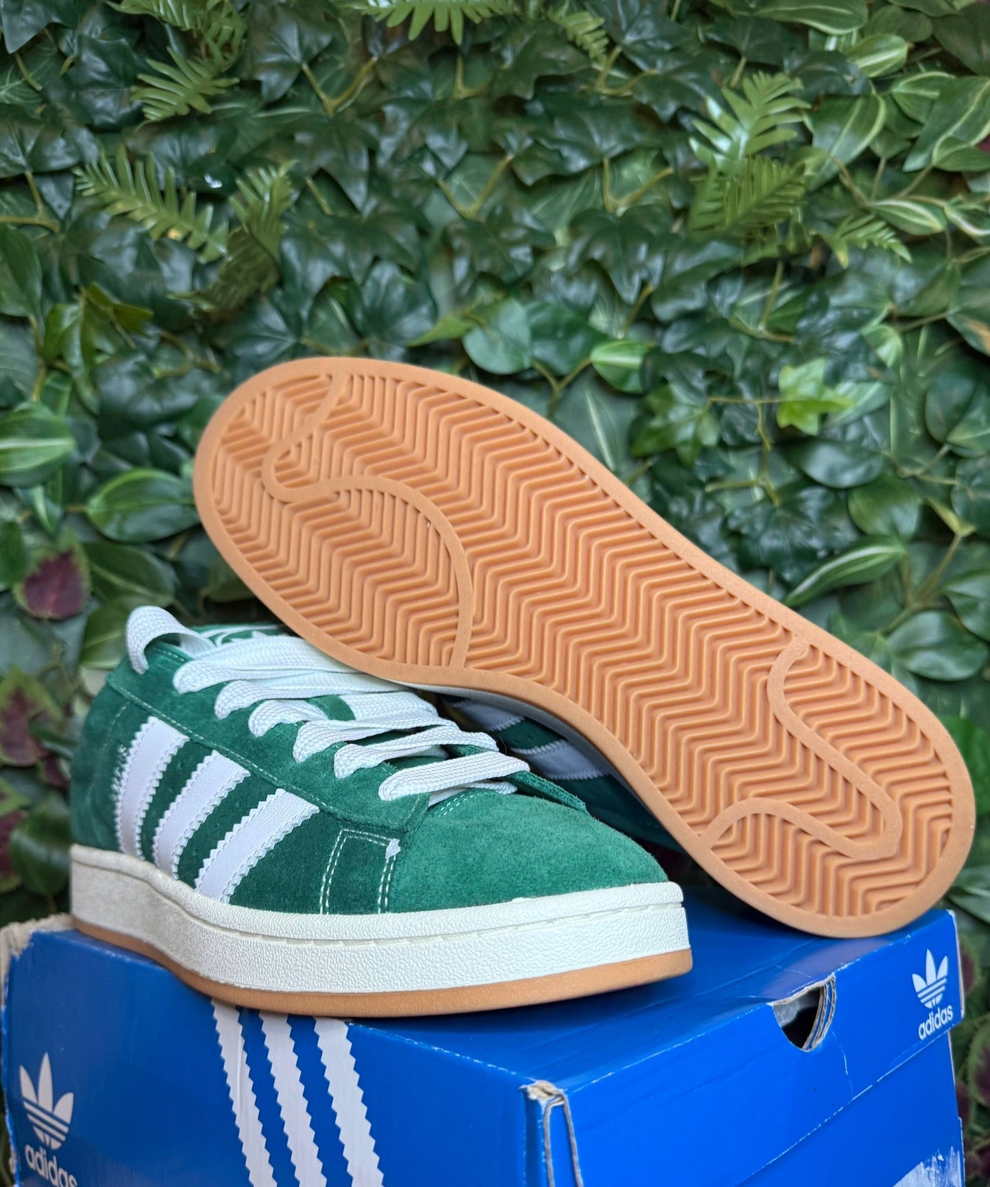 Campus 00S Dark Green