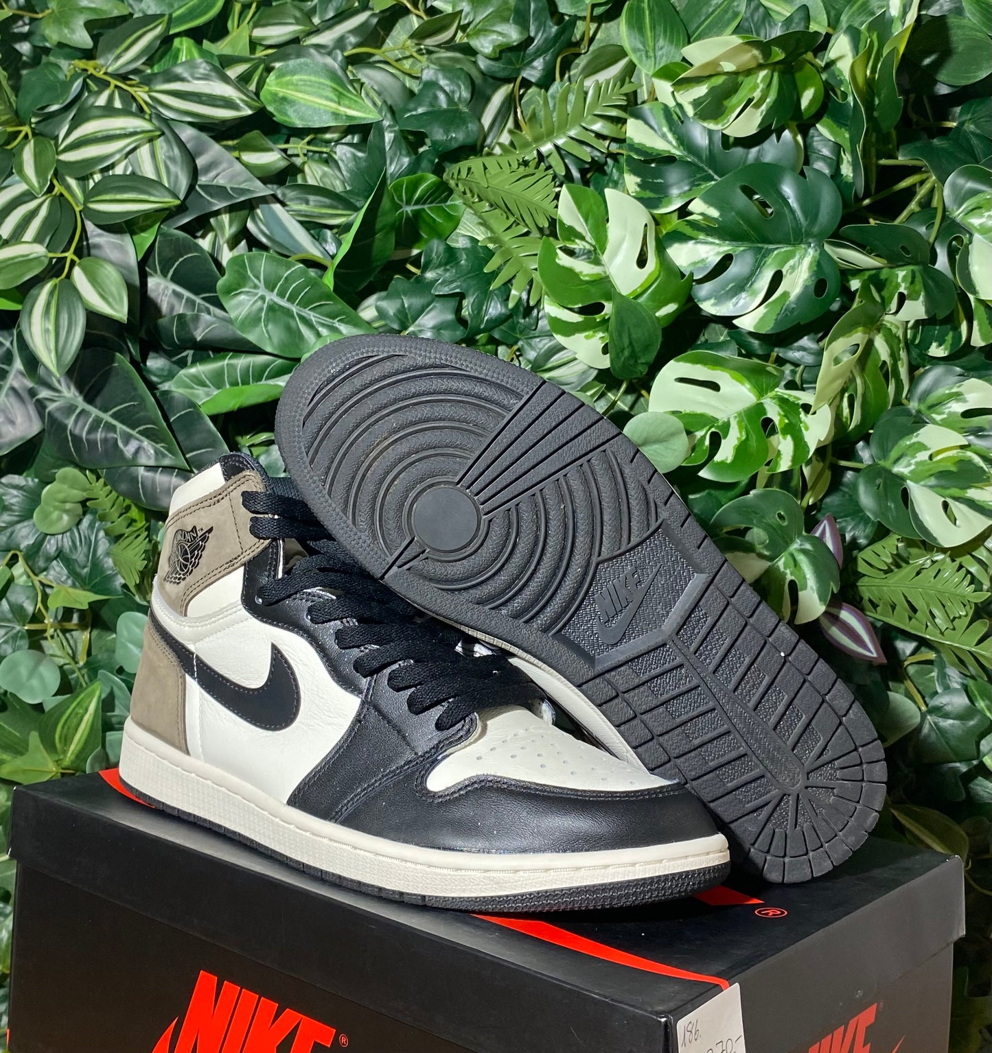 Jordan 1 High Dark Mocha
