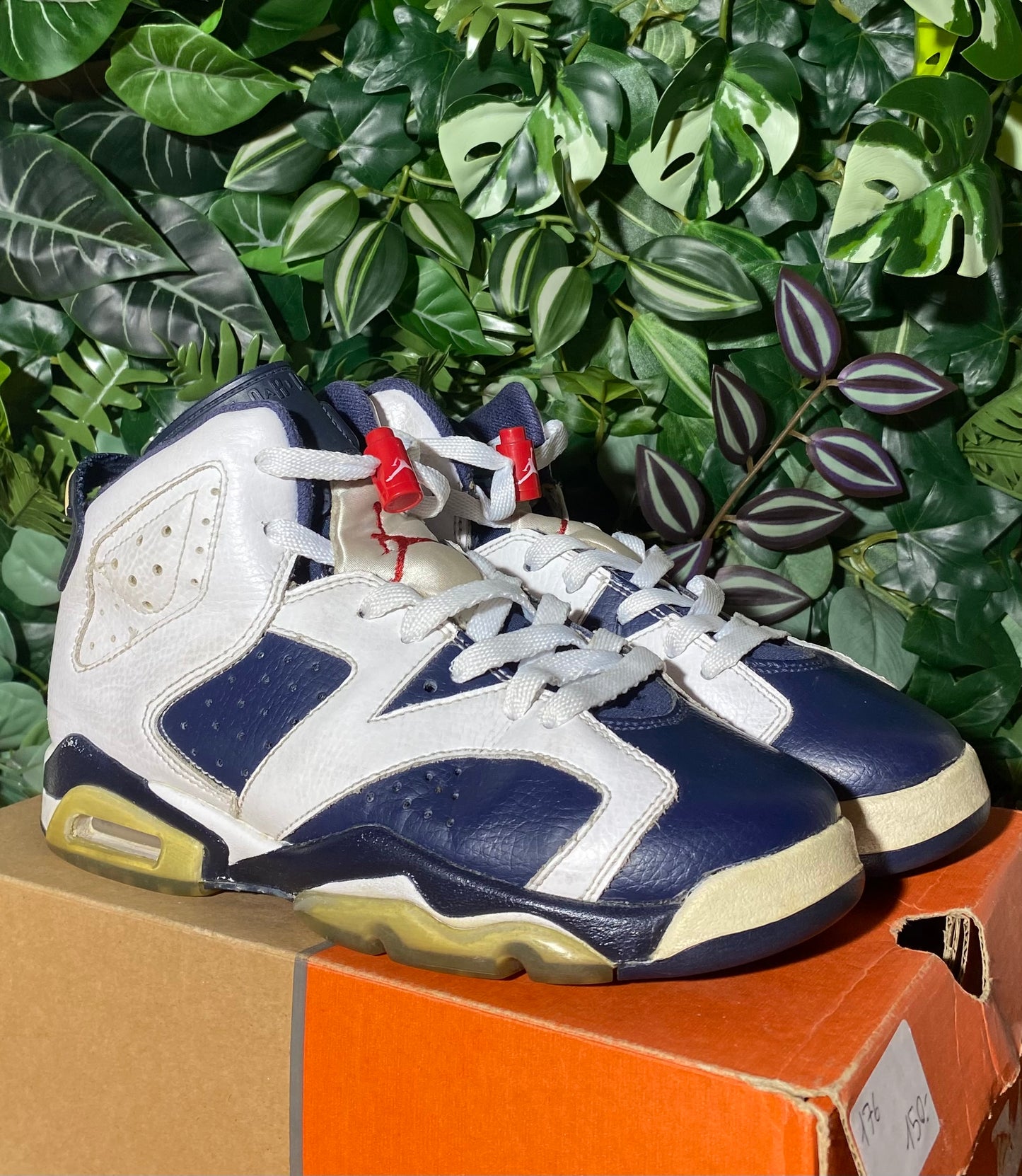 Jordan 6 Olympique (2013)