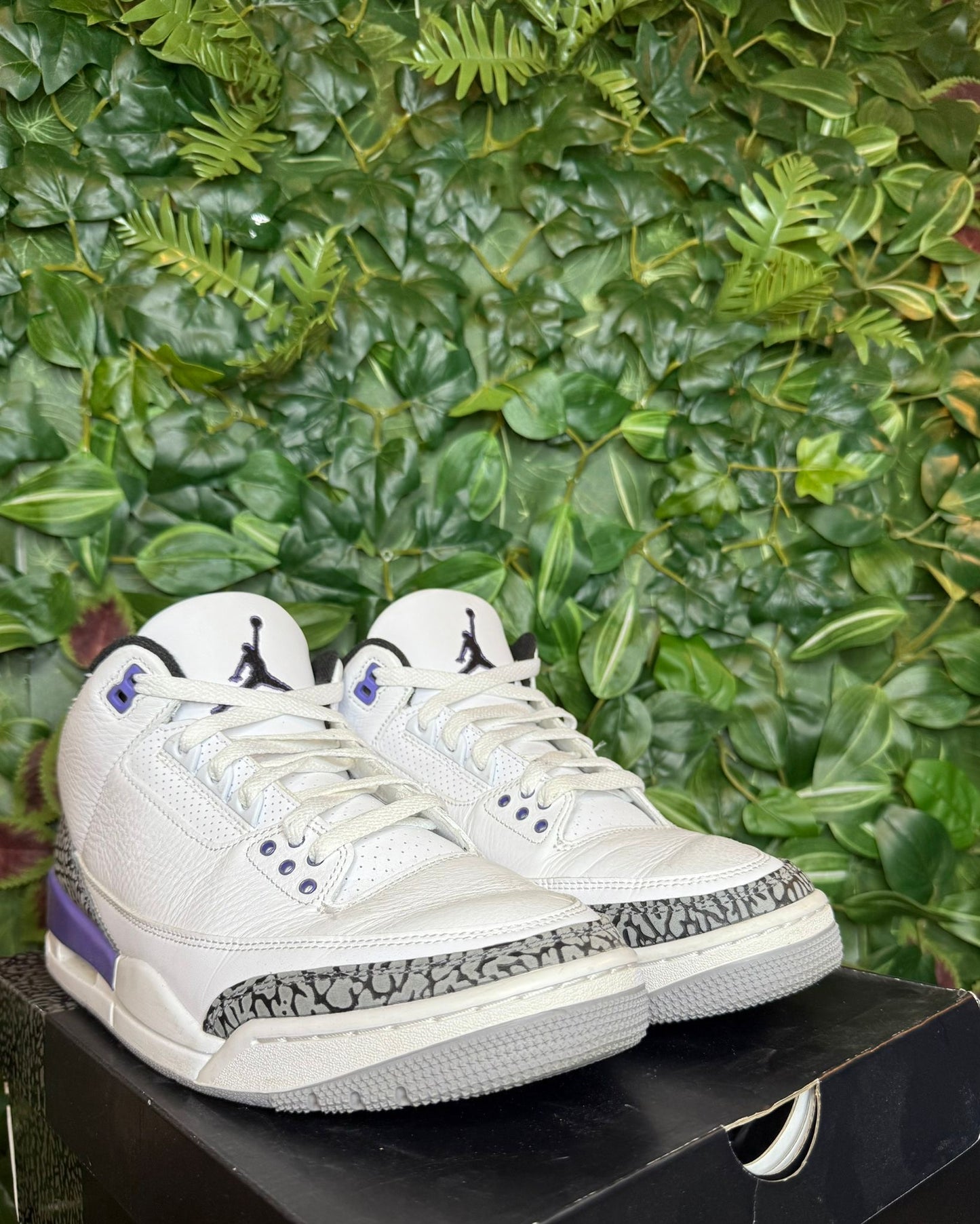 Jordan 3 purple