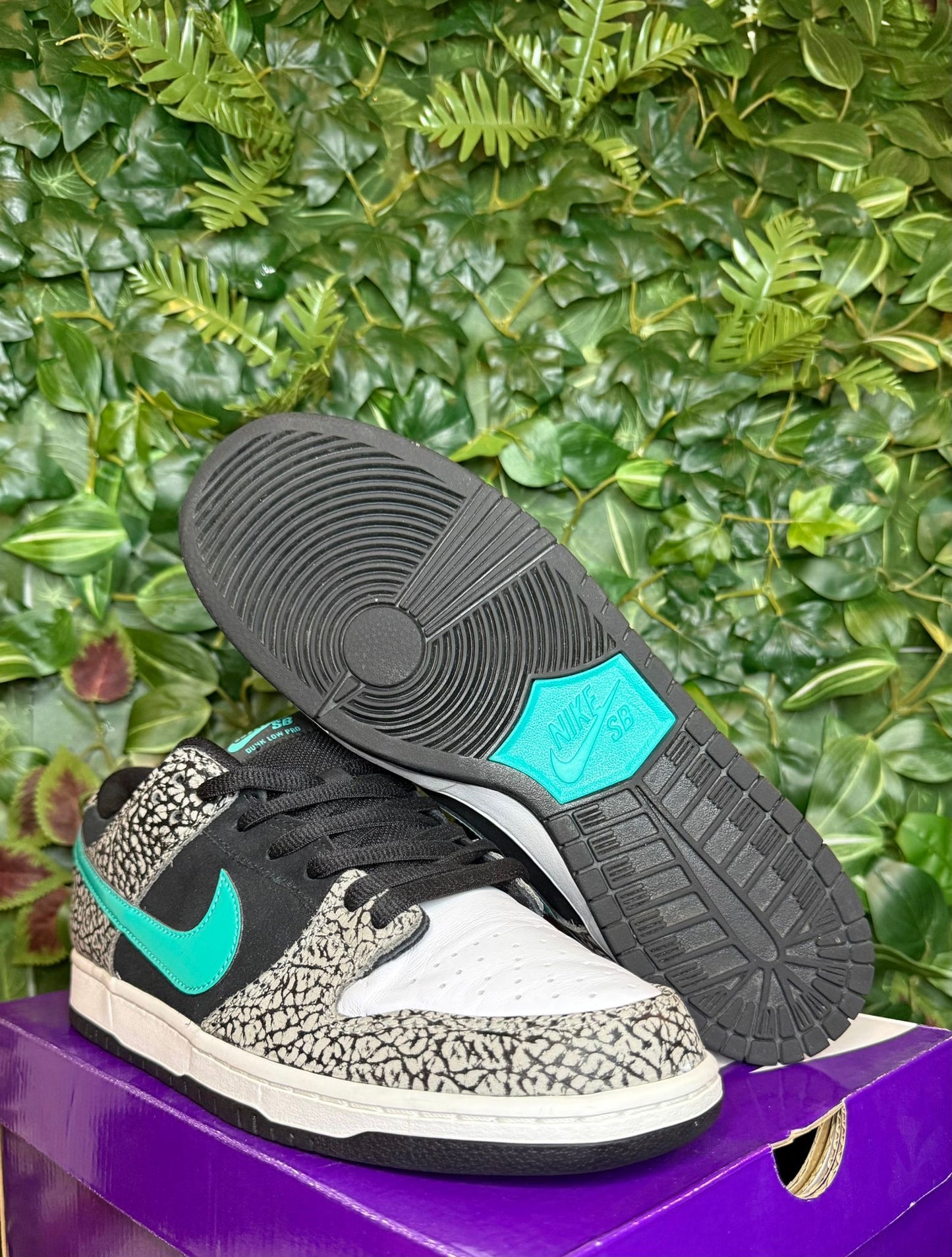 Dunk Low SB Atmos Elephant
