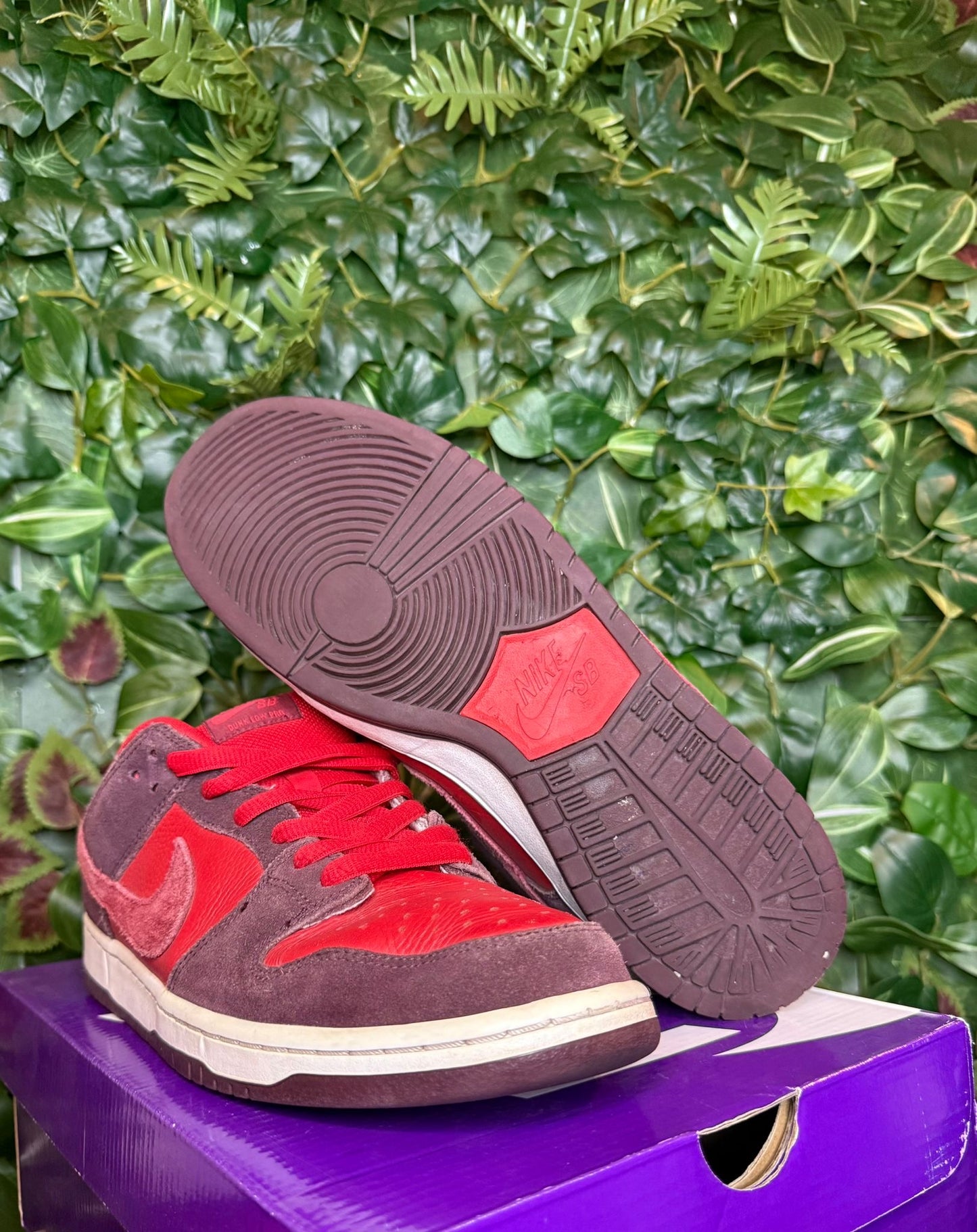 Dunk Low SB Cherry