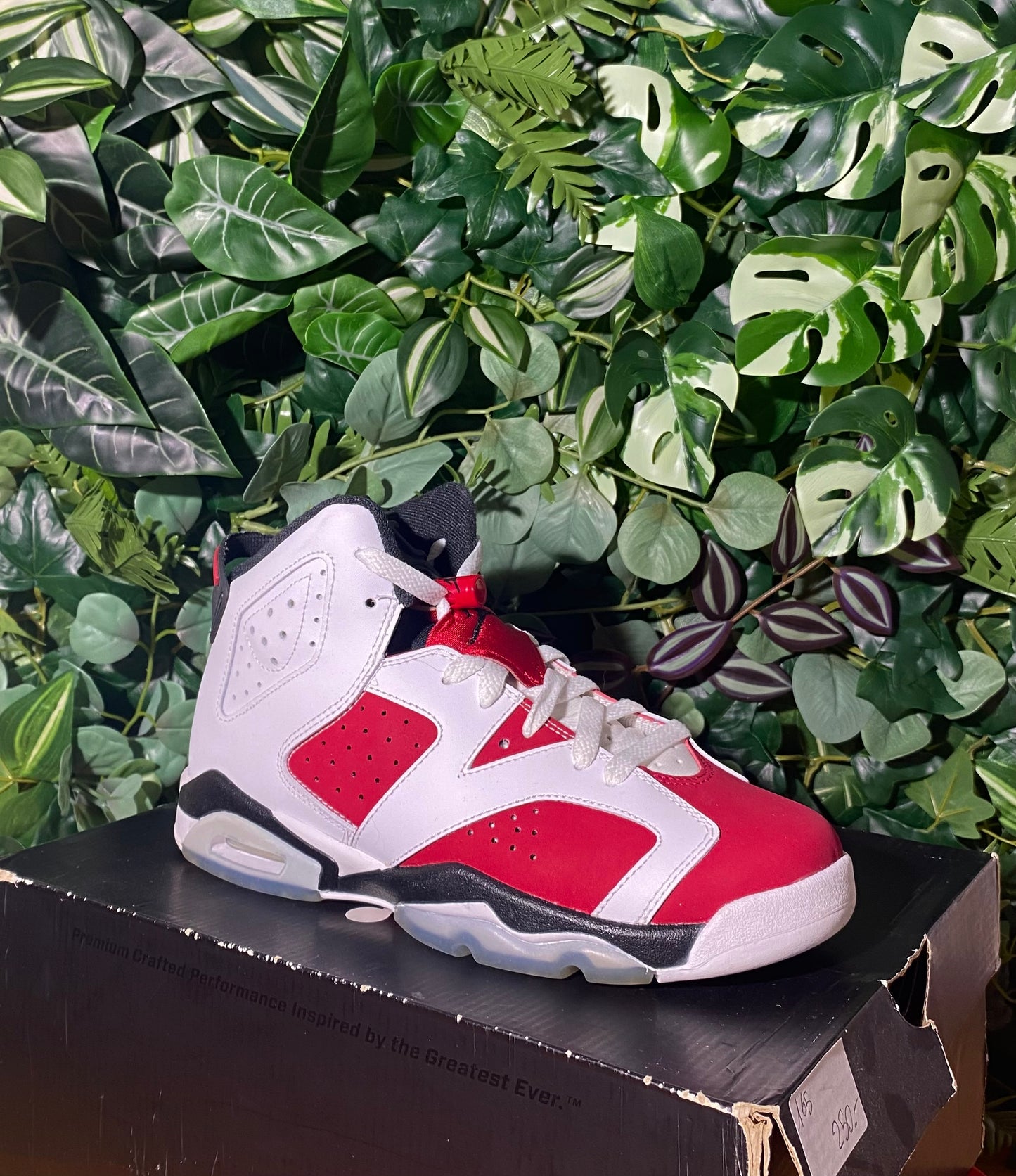 Jordan 6 Carmine Black