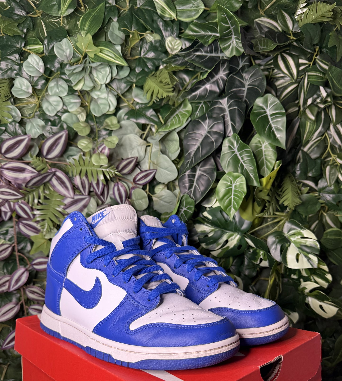 Dunk High Loyal Blue