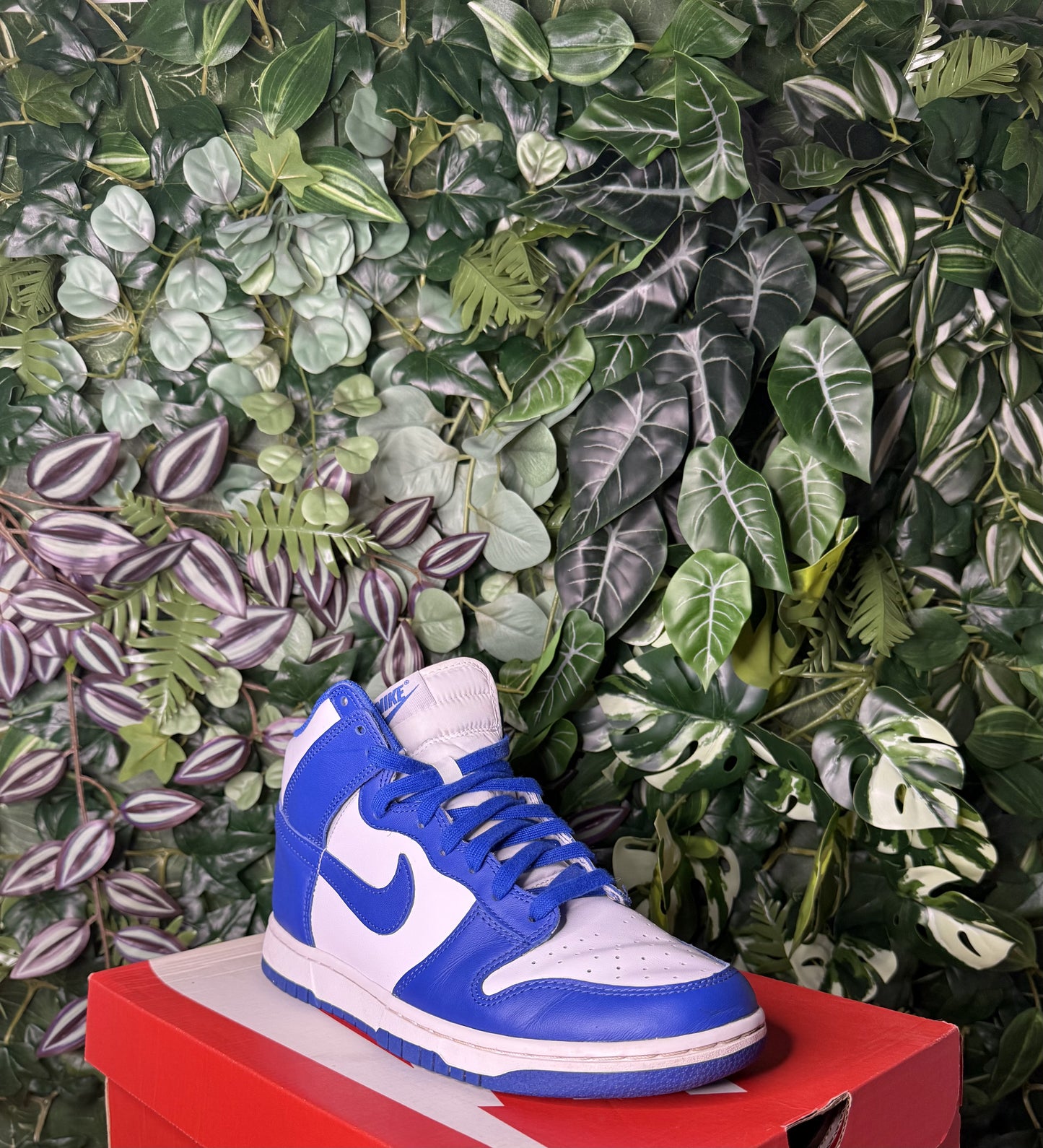 Dunk High Loyal Blue