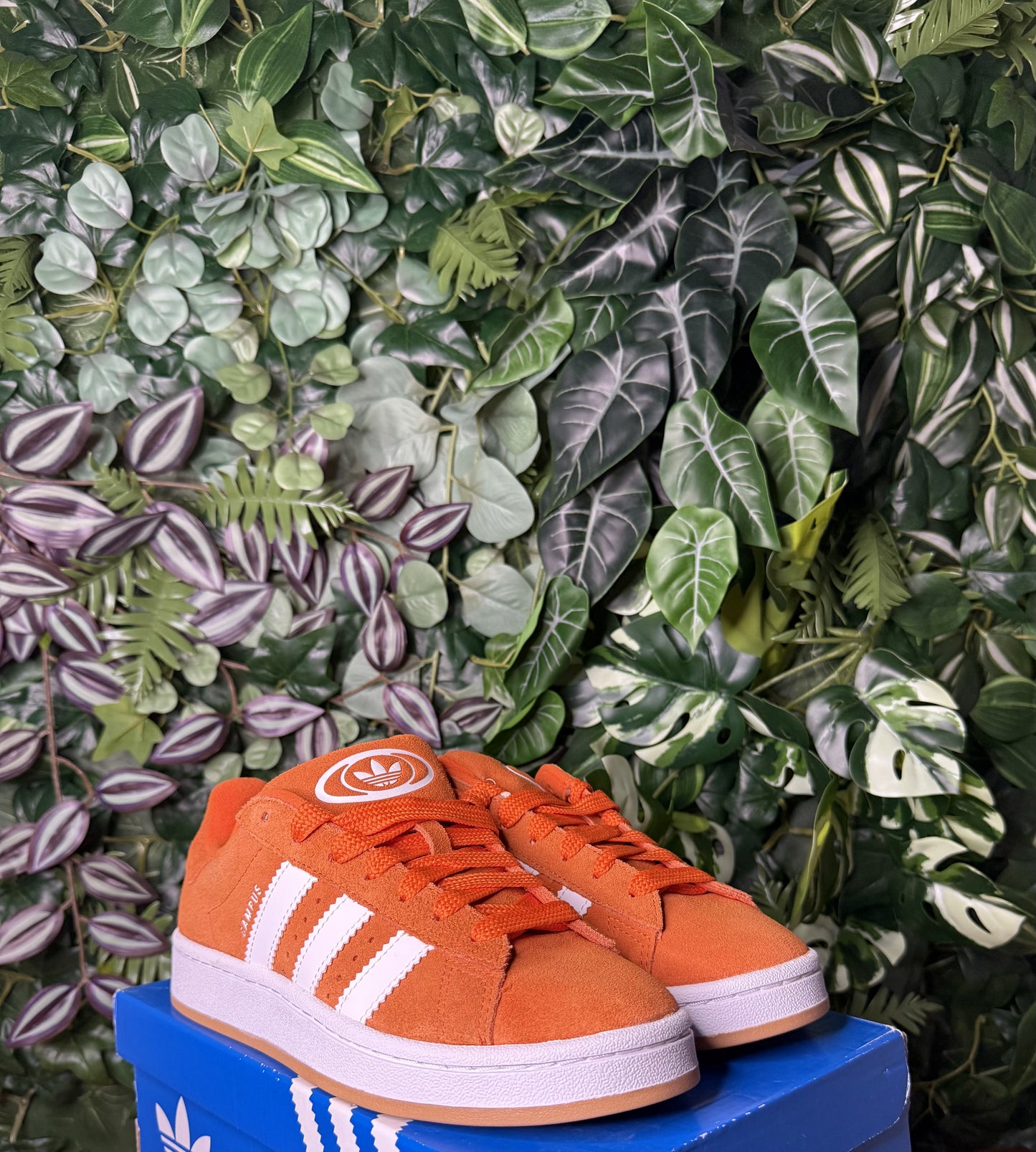Campus 00S Orange