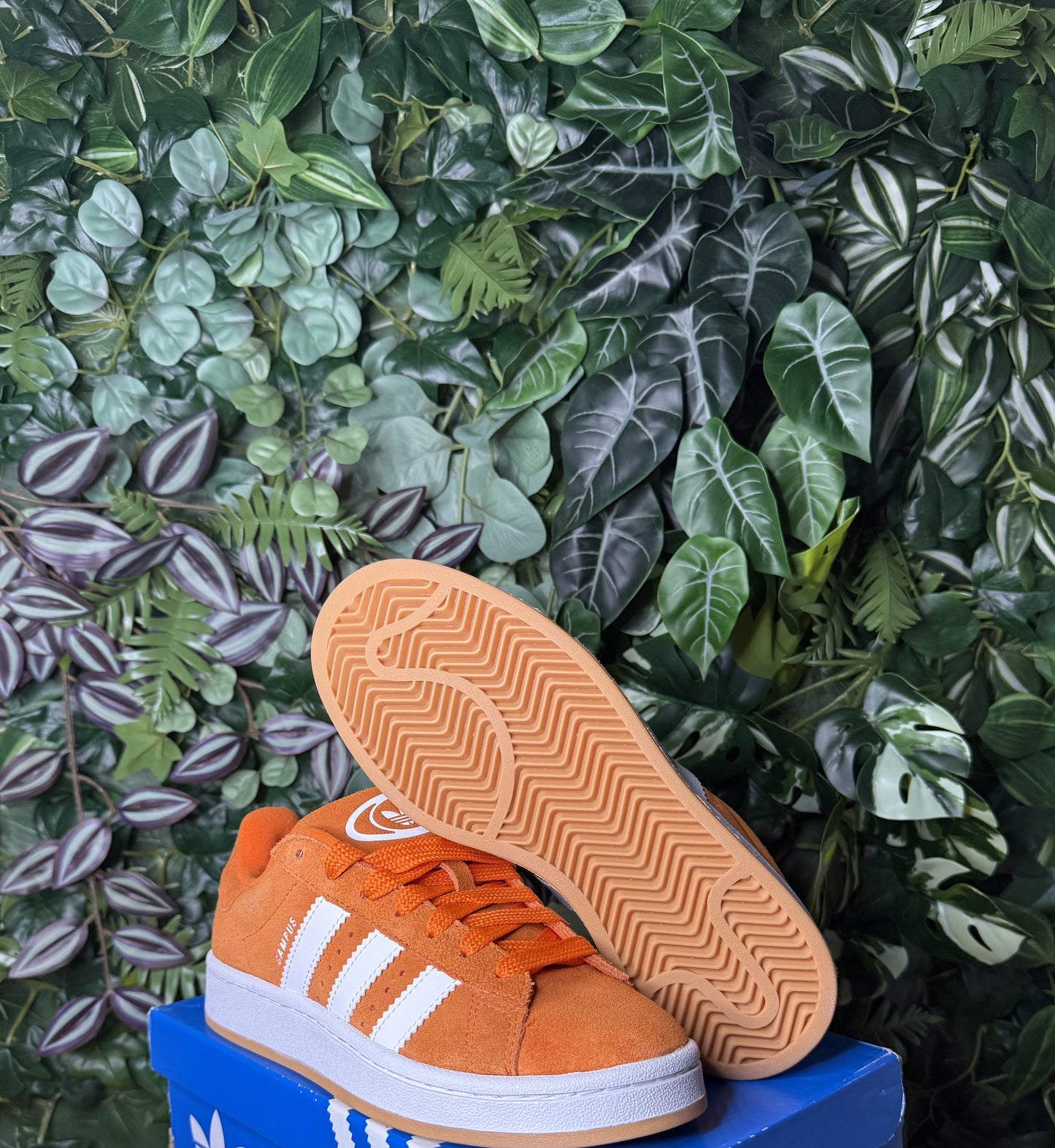 Campus 00S Orange