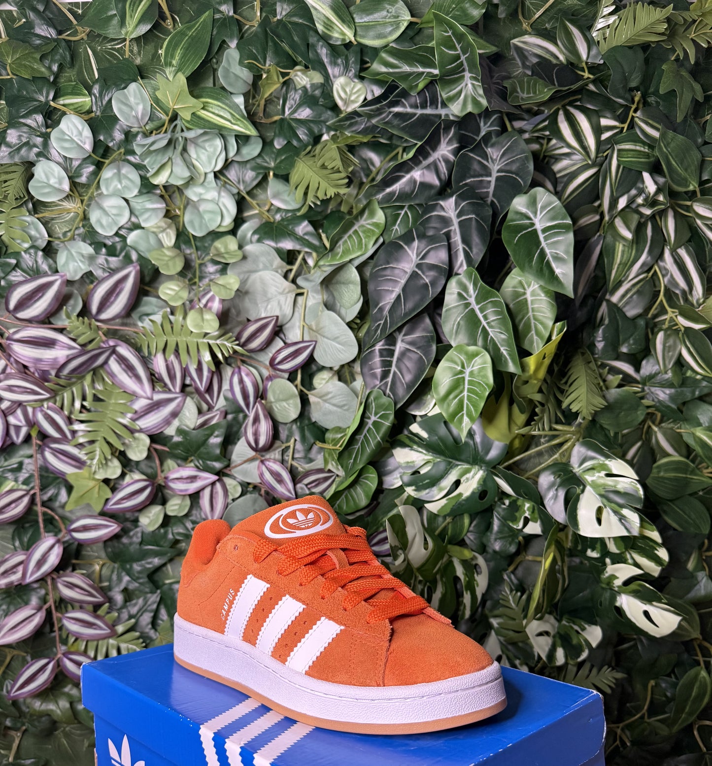 Campus 00S Orange