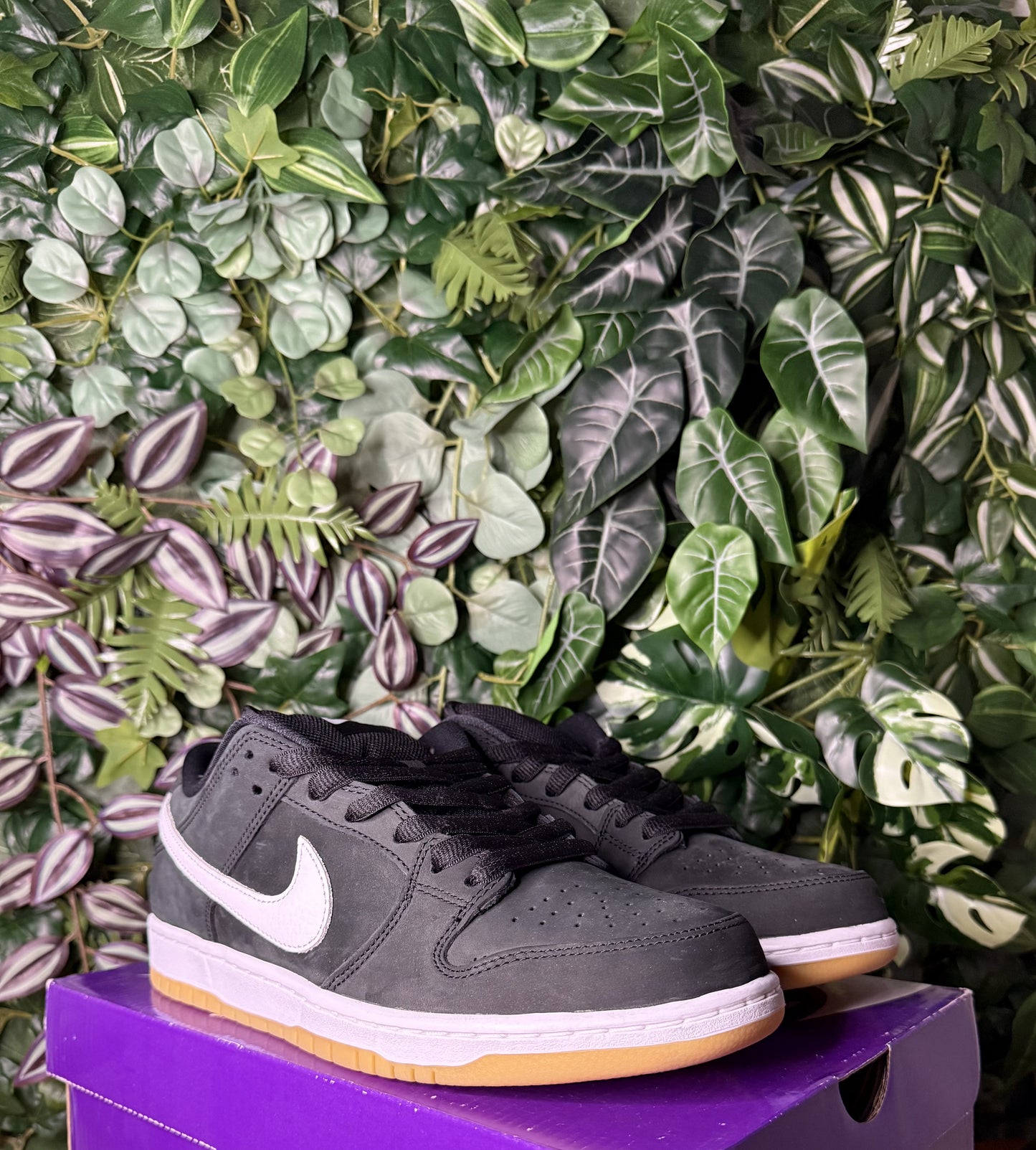 Dunk Low Sb Black Gum