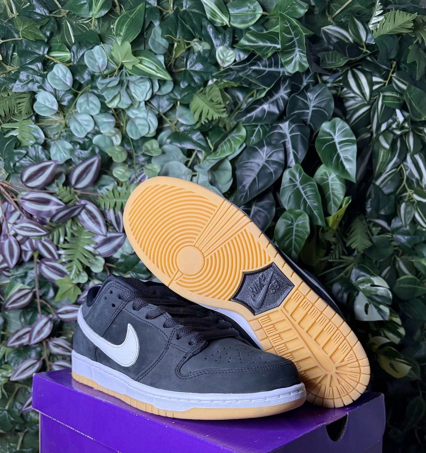Dunk Low Sb Black Gum