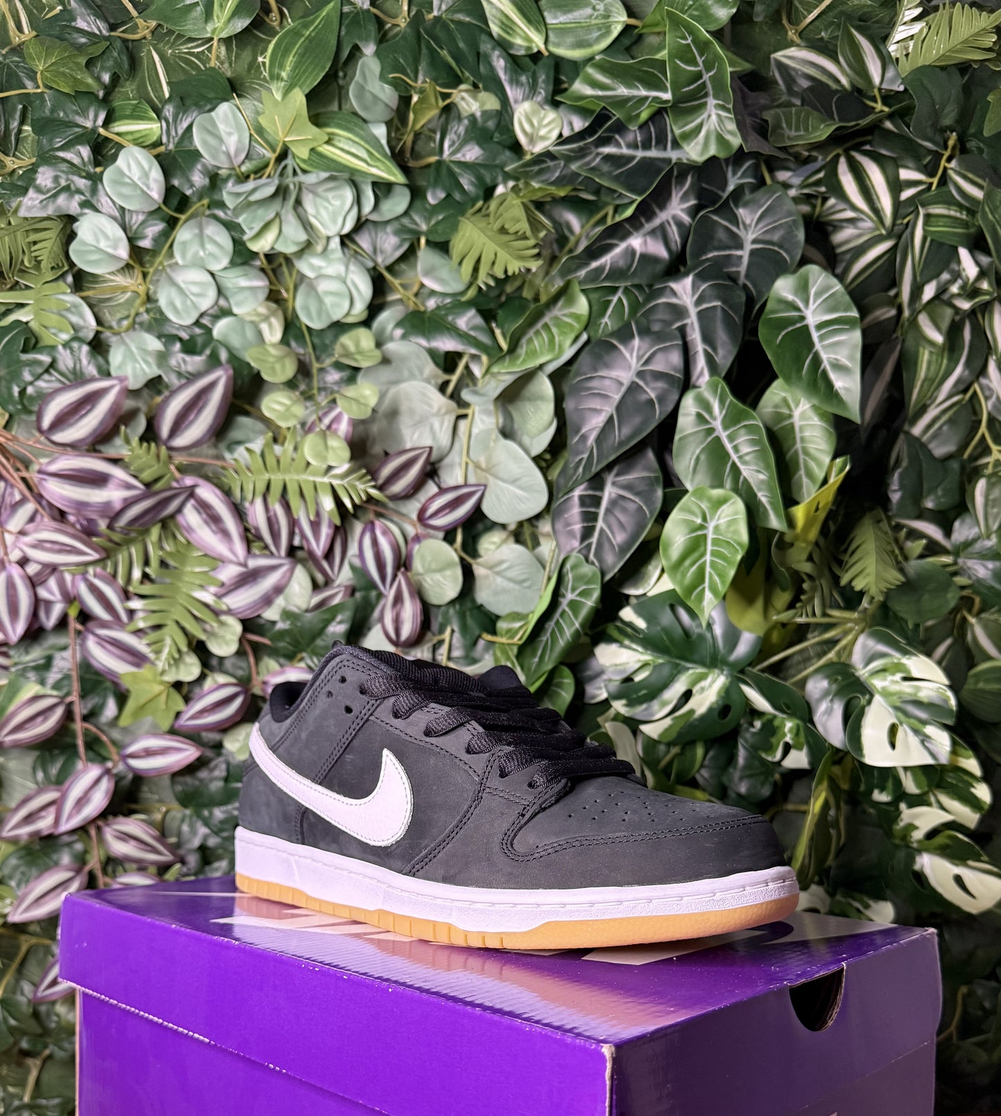 Dunk Low Sb Black Gum