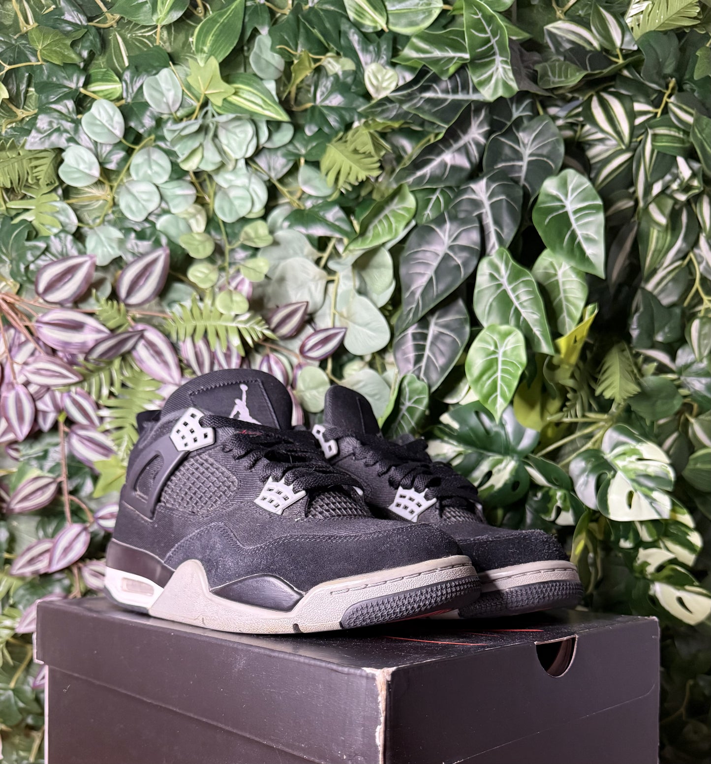 Jordan 4 Black Canva