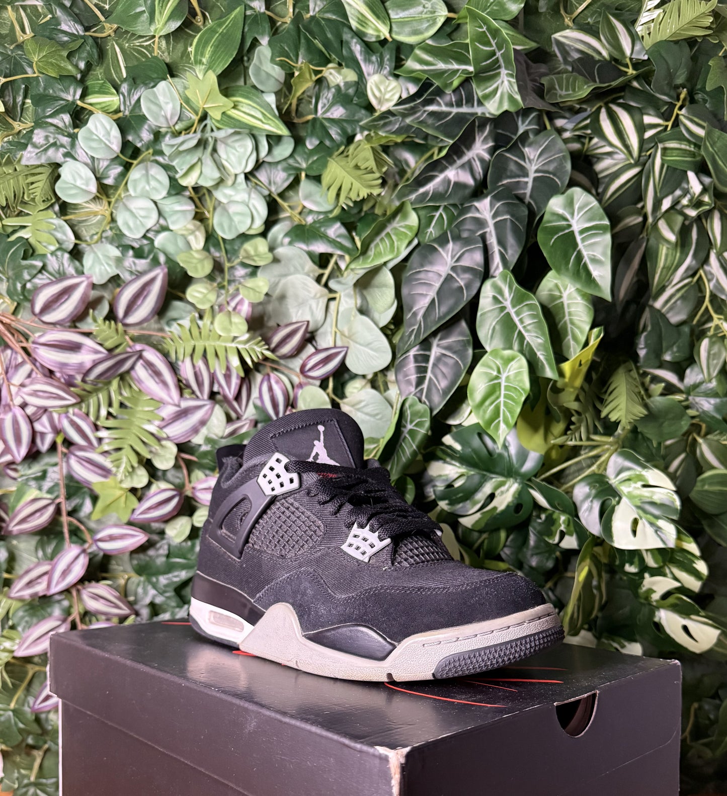 Jordan 4 Black Canva