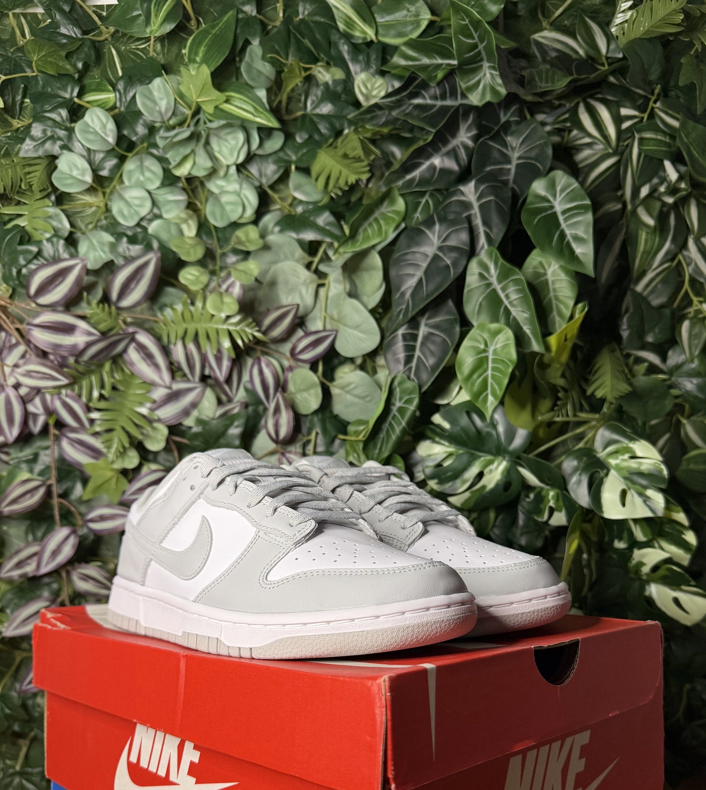 Dunk Low Grey Fog