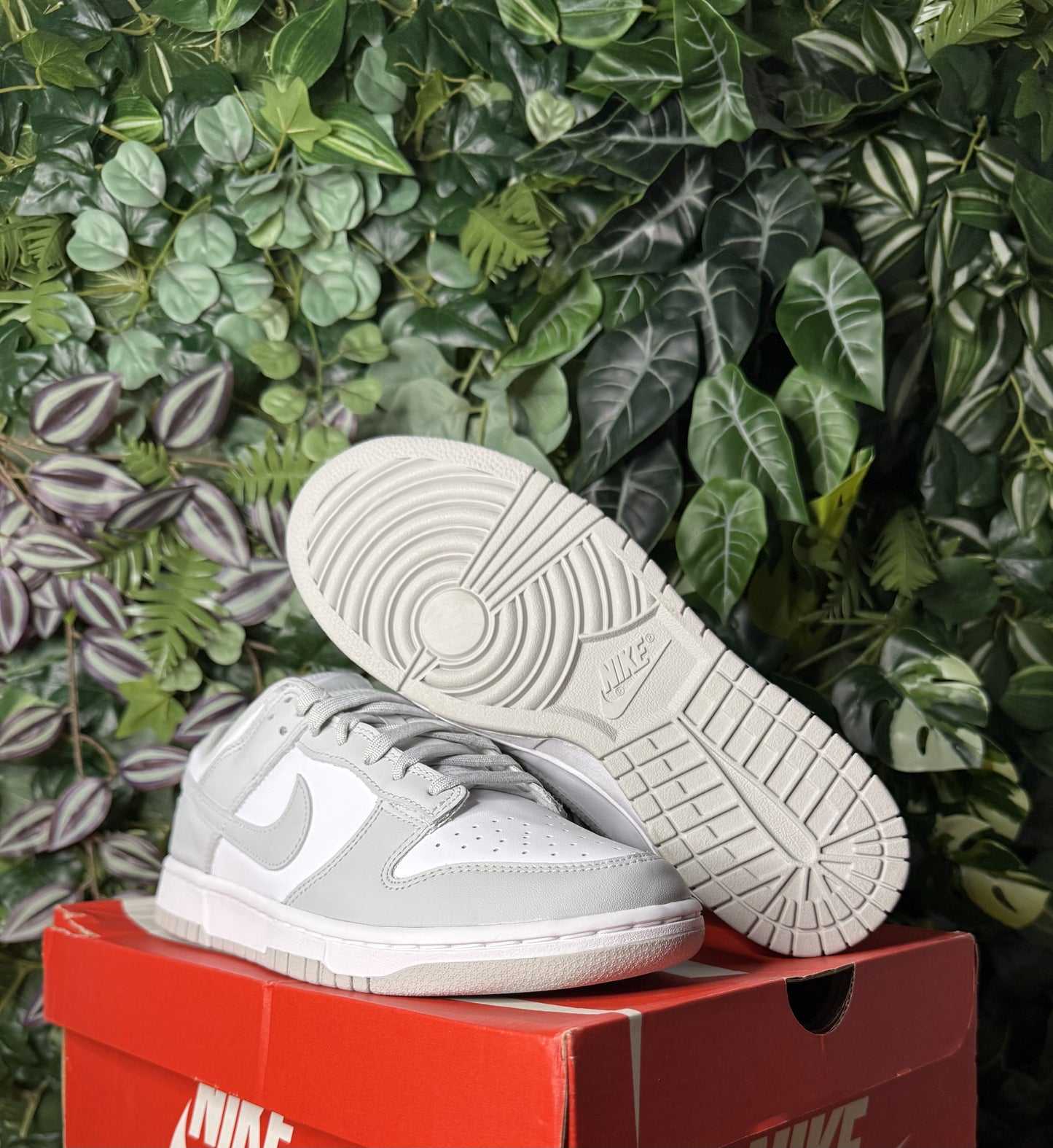Dunk Low Grey Fog