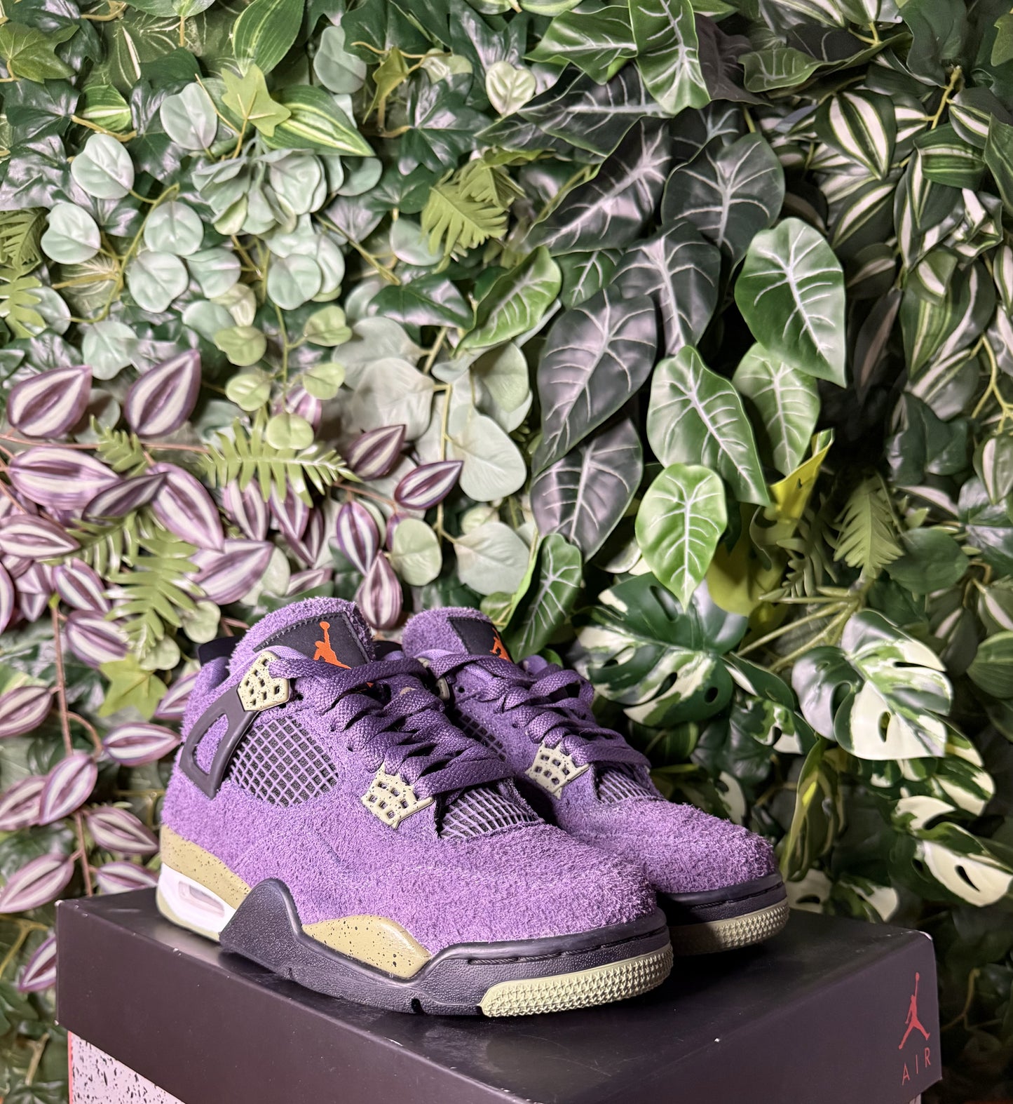 Jordan 4 Canyon Purple