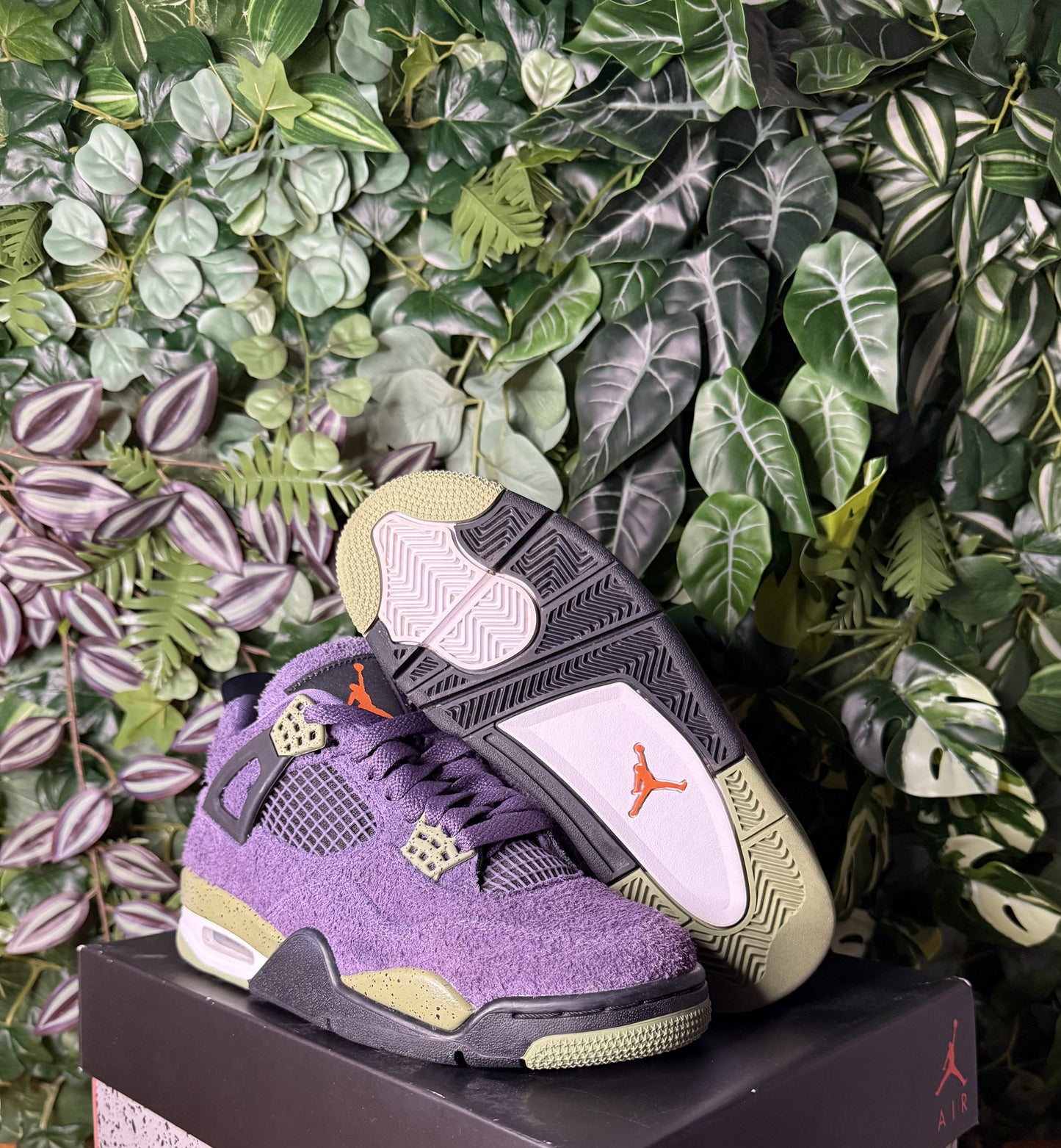 Jordan 4 Canyon Purple