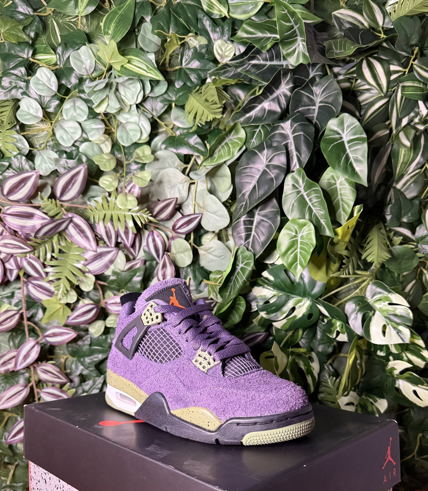 Jordan 4 Canyon Purple