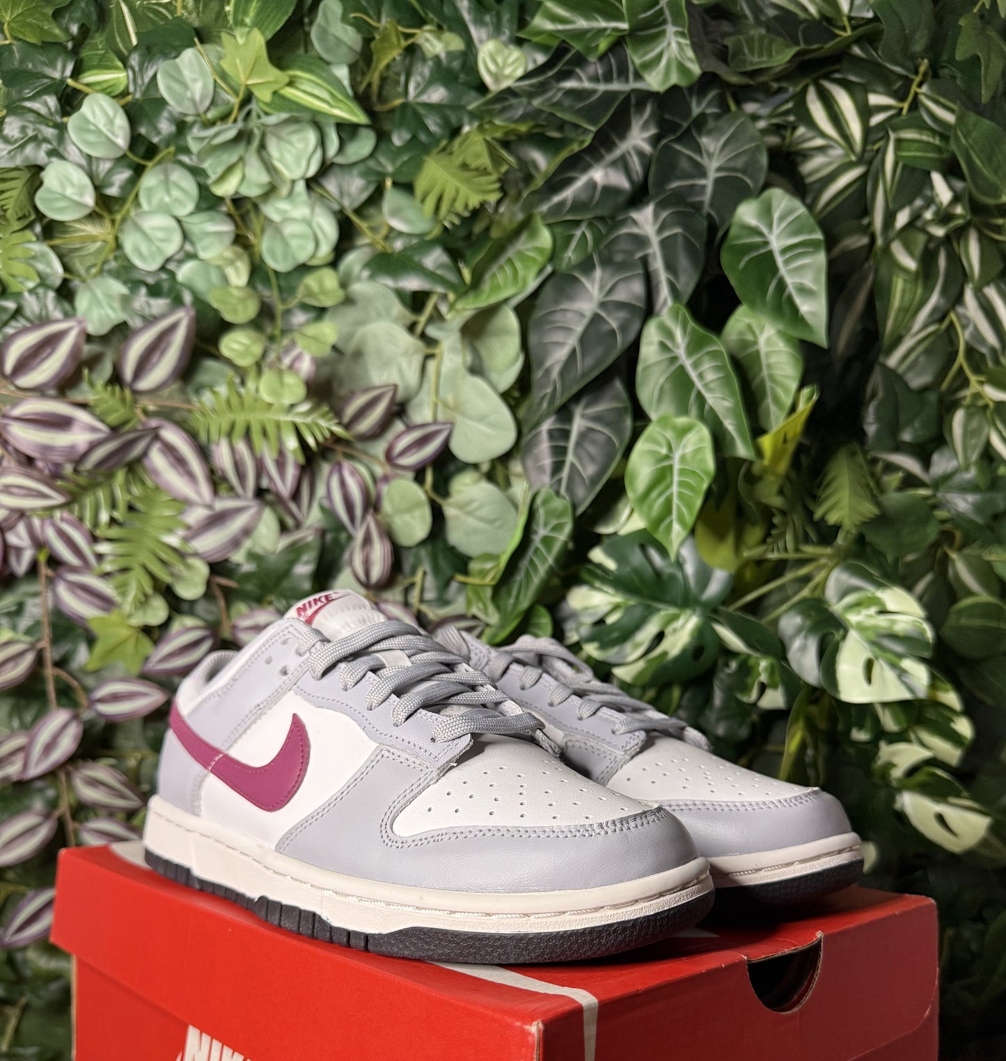 Dunk Low Summit White