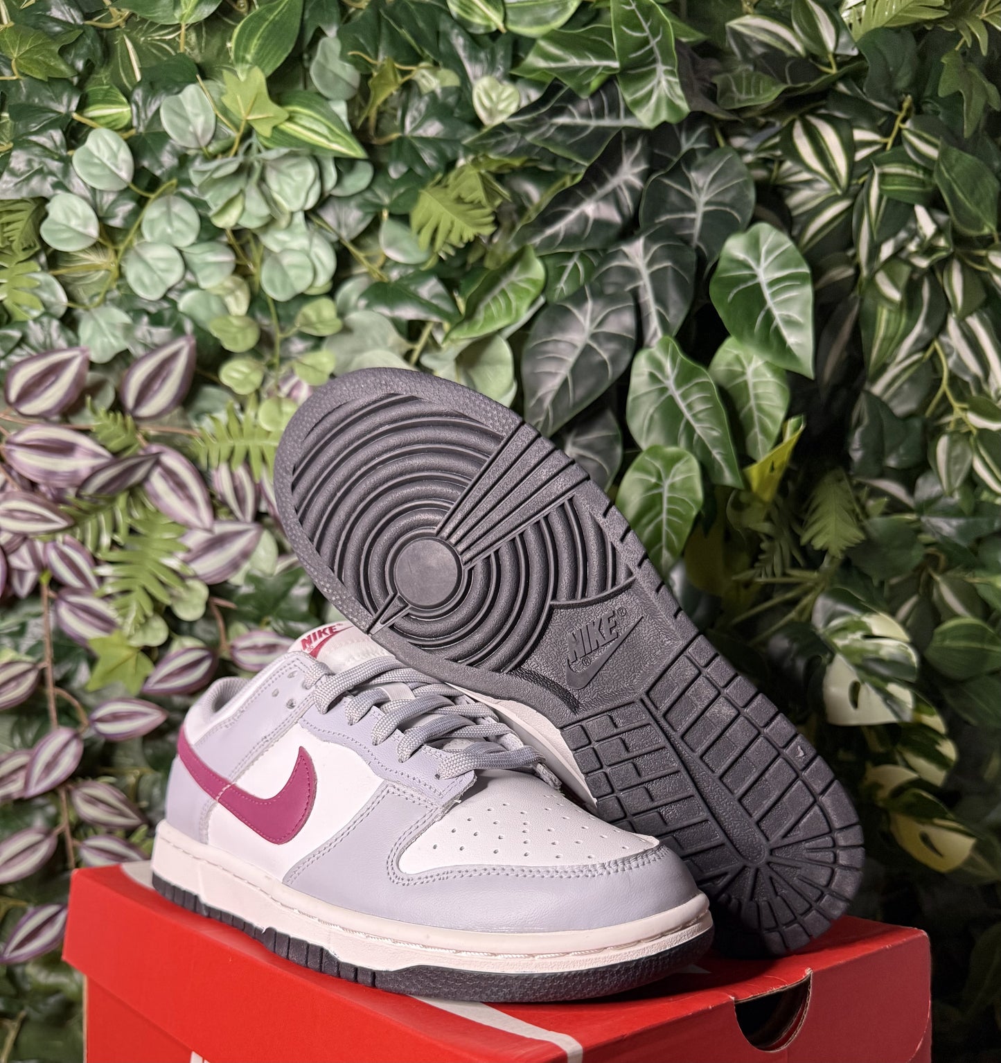 Dunk Low Summit White