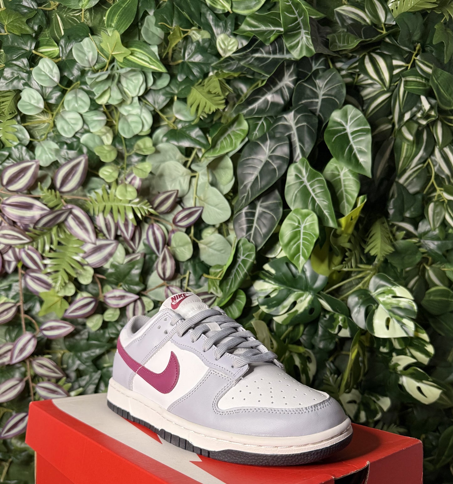 Dunk Low Summit White
