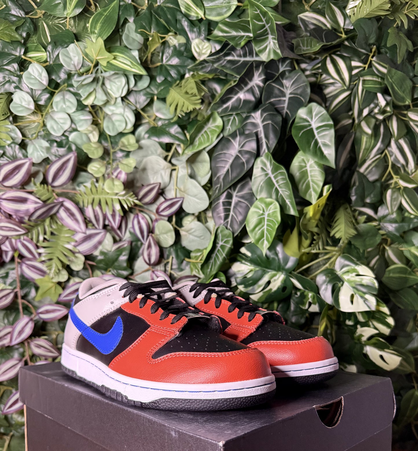 Dunk Low NBA