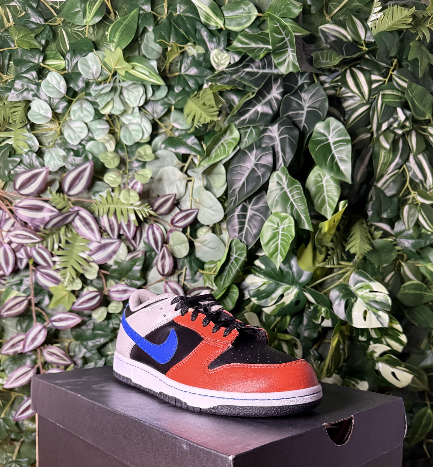 Dunk Low NBA