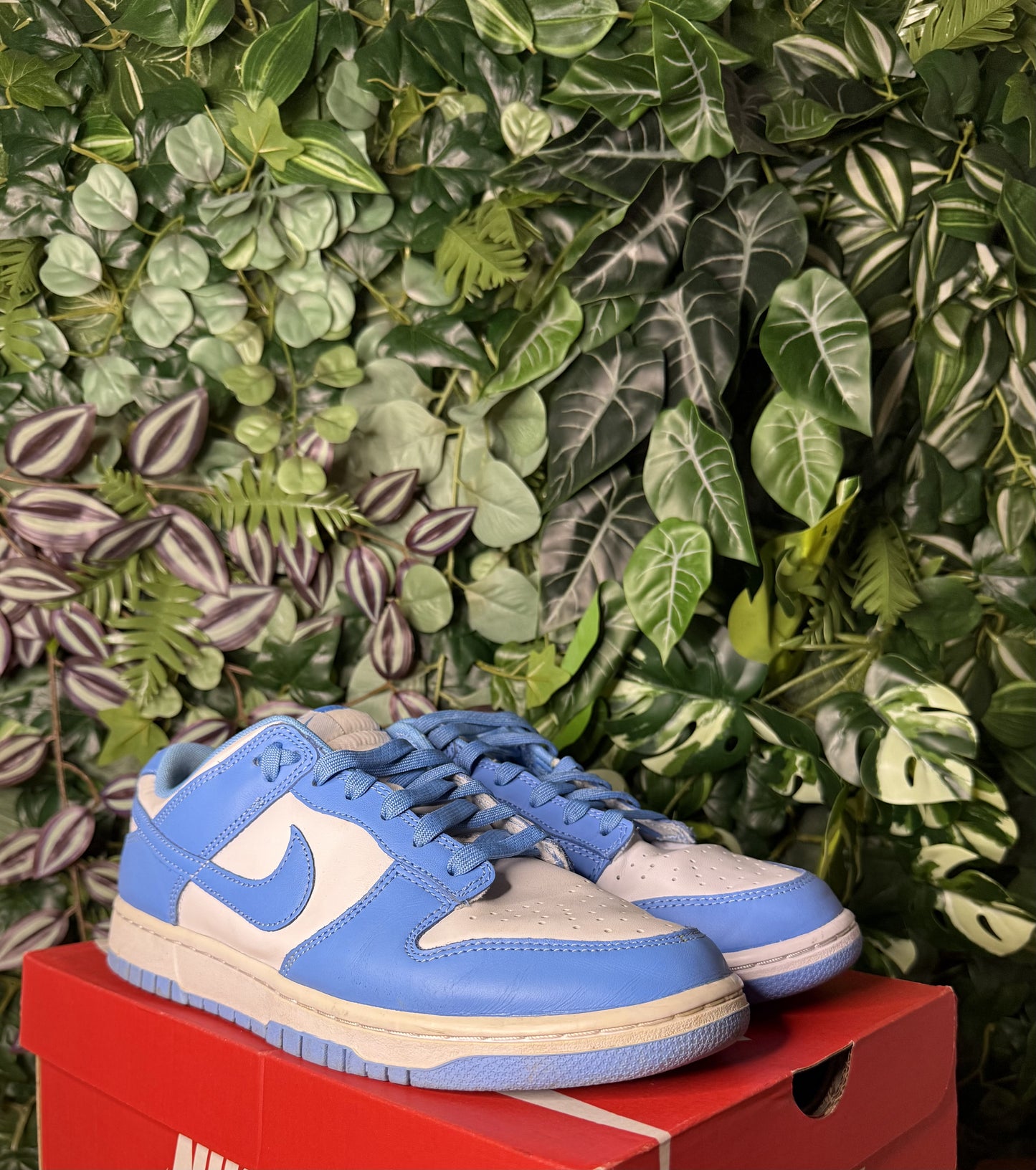 Dunk Low University Blue