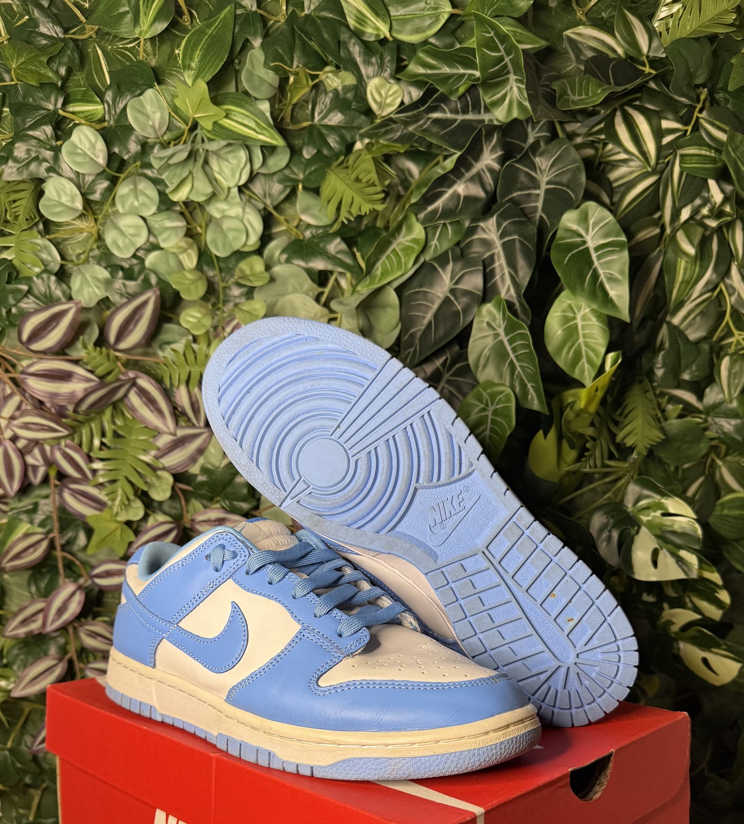 Dunk Low University Blue