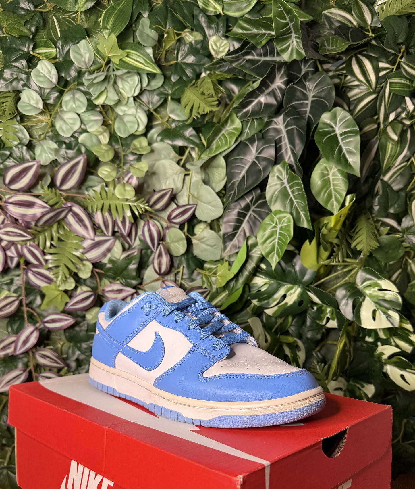 Dunk Low University Blue